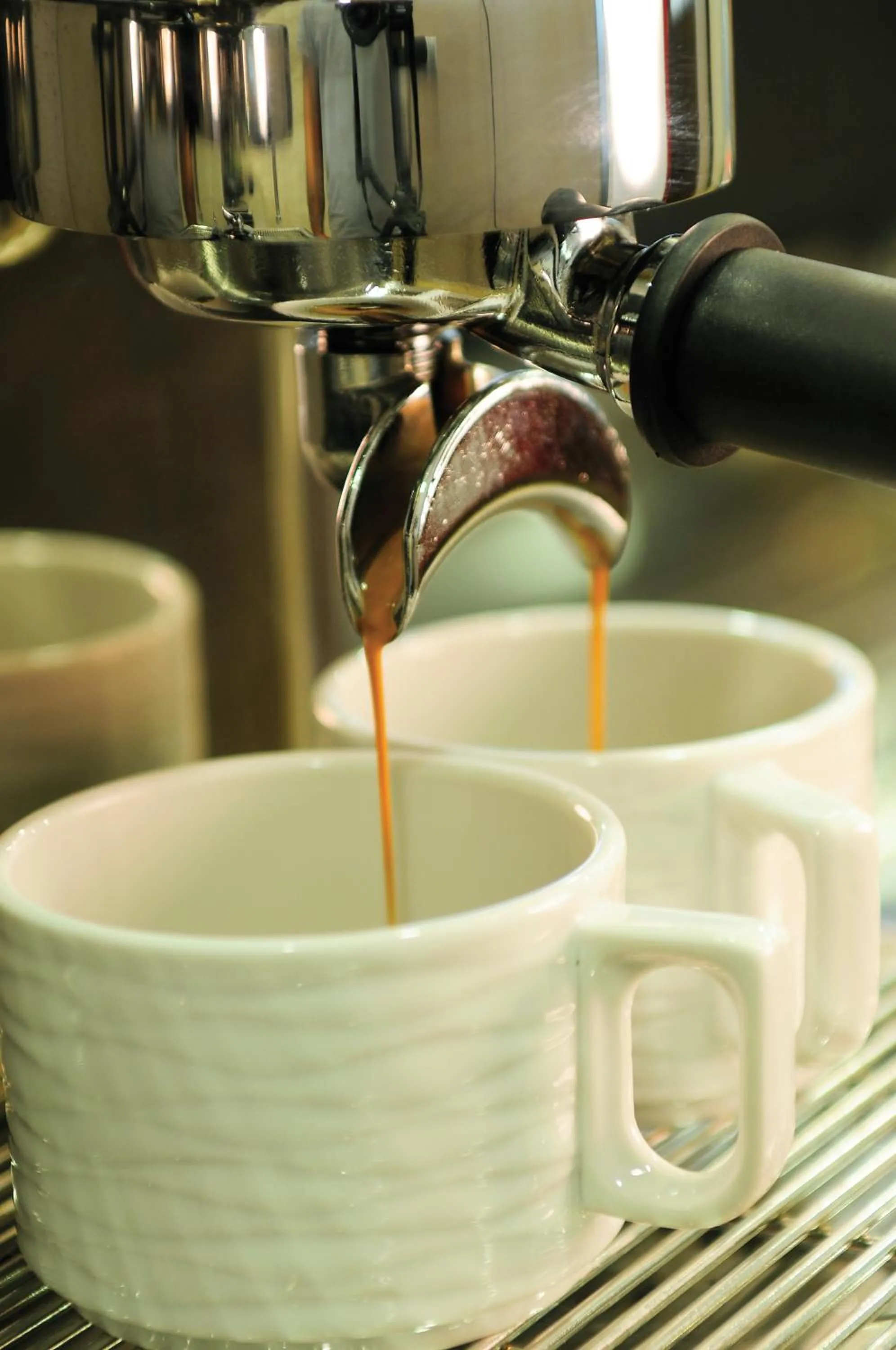 Food and drinks in Demora Hotel