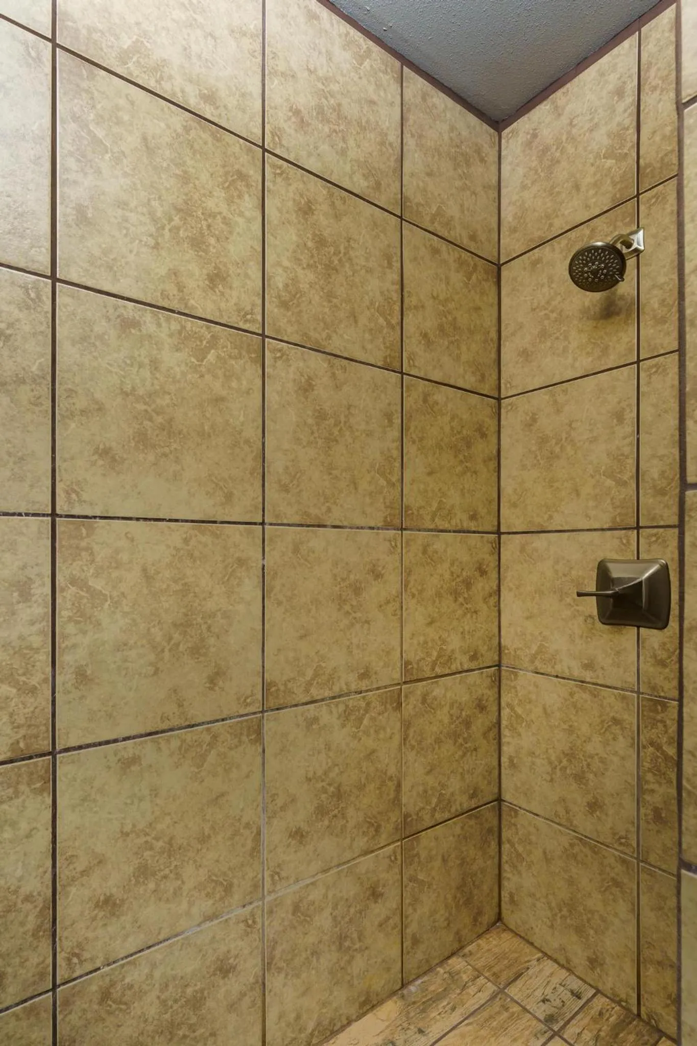 Mountain Trail Lodge and Vacation Rentals