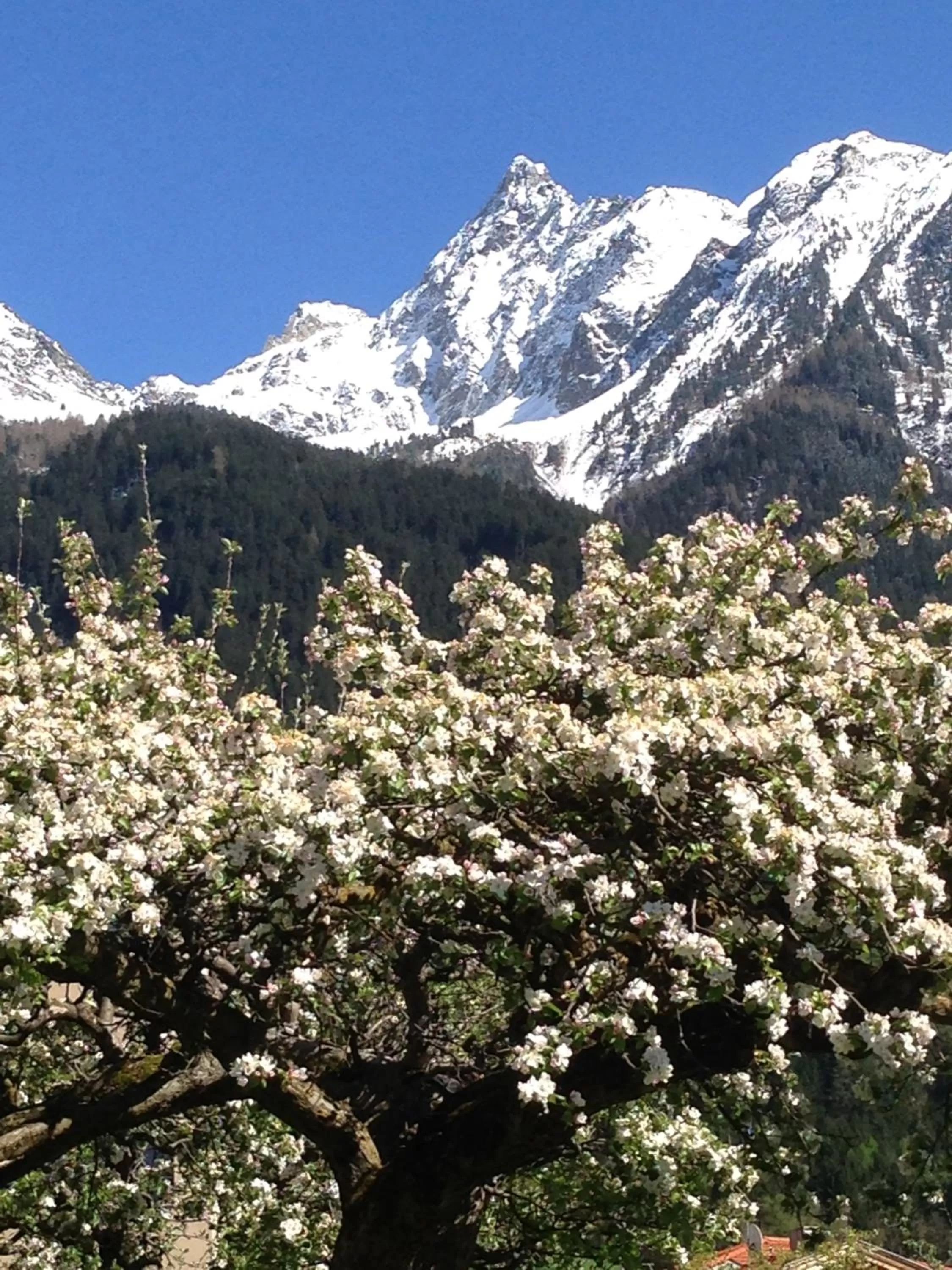 Natural landscape in Gasthof zum Stern