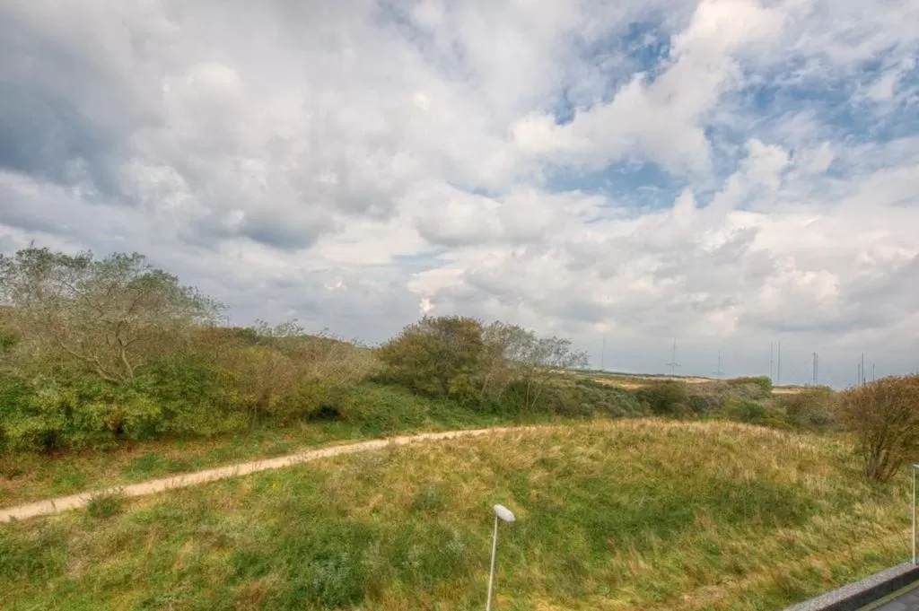 Natural Landscape in B&B Beach Inn