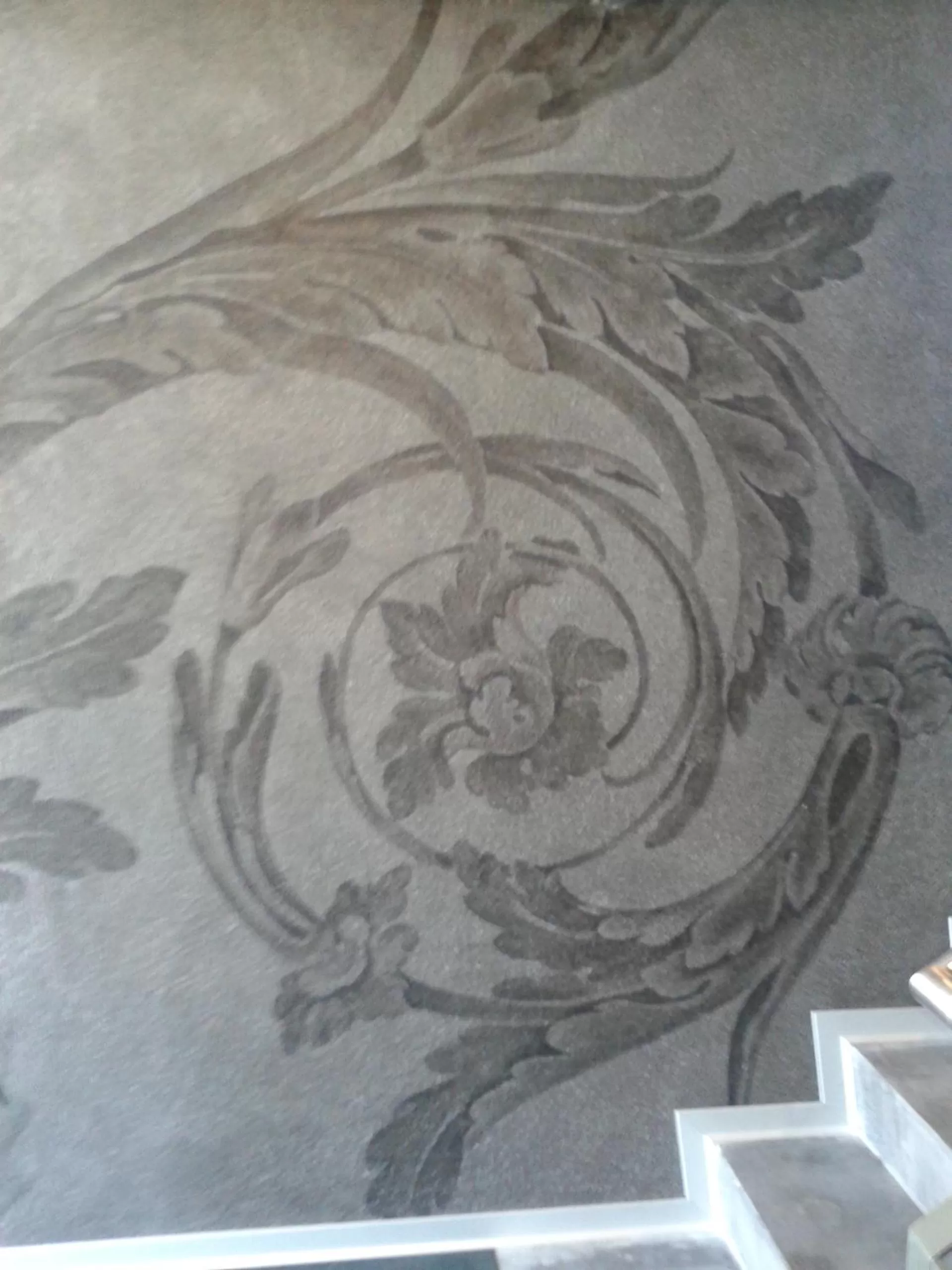 Other in Hotel Swiss Bellevue