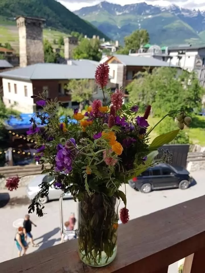 Spring in Hotel Svanseti