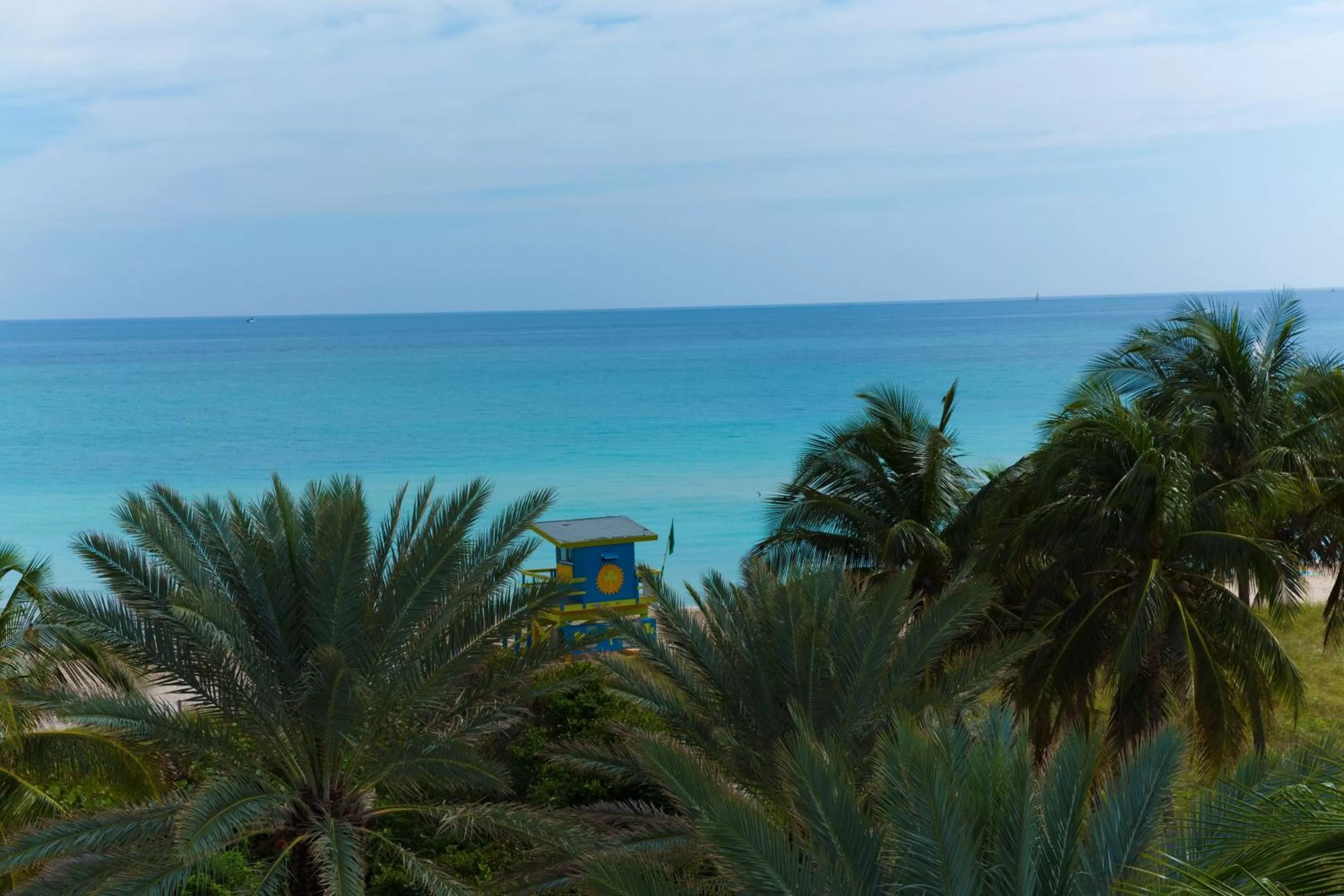 View (from property/room) in Broadmore Miami Beach