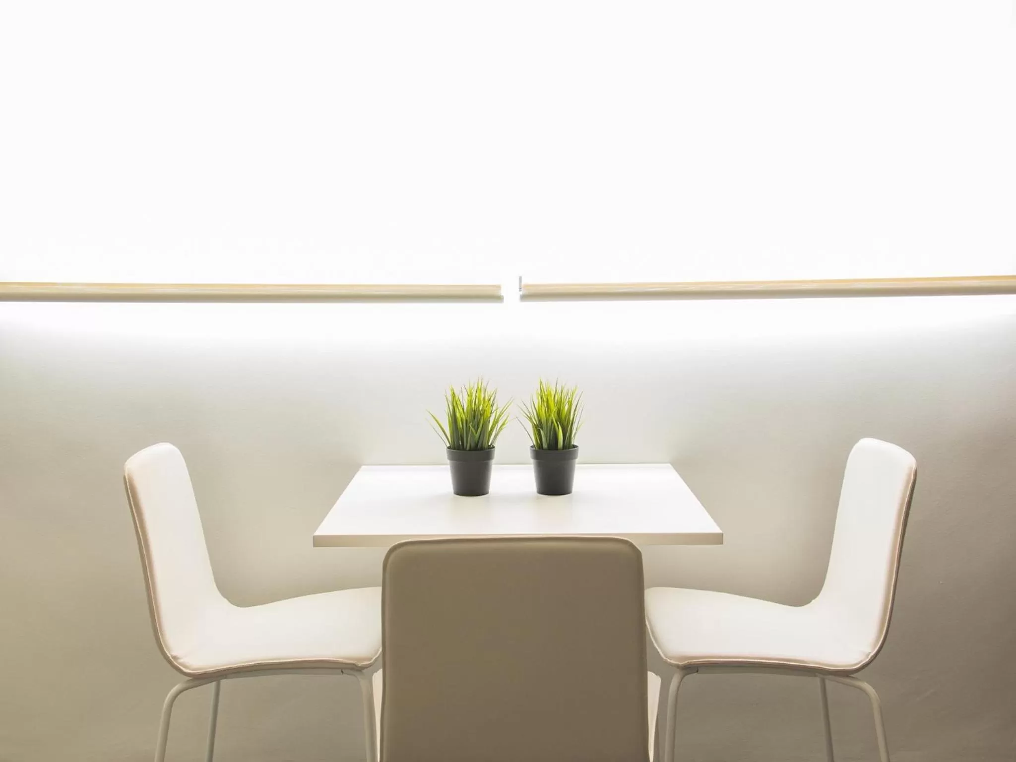 Garden in Soho Valencia