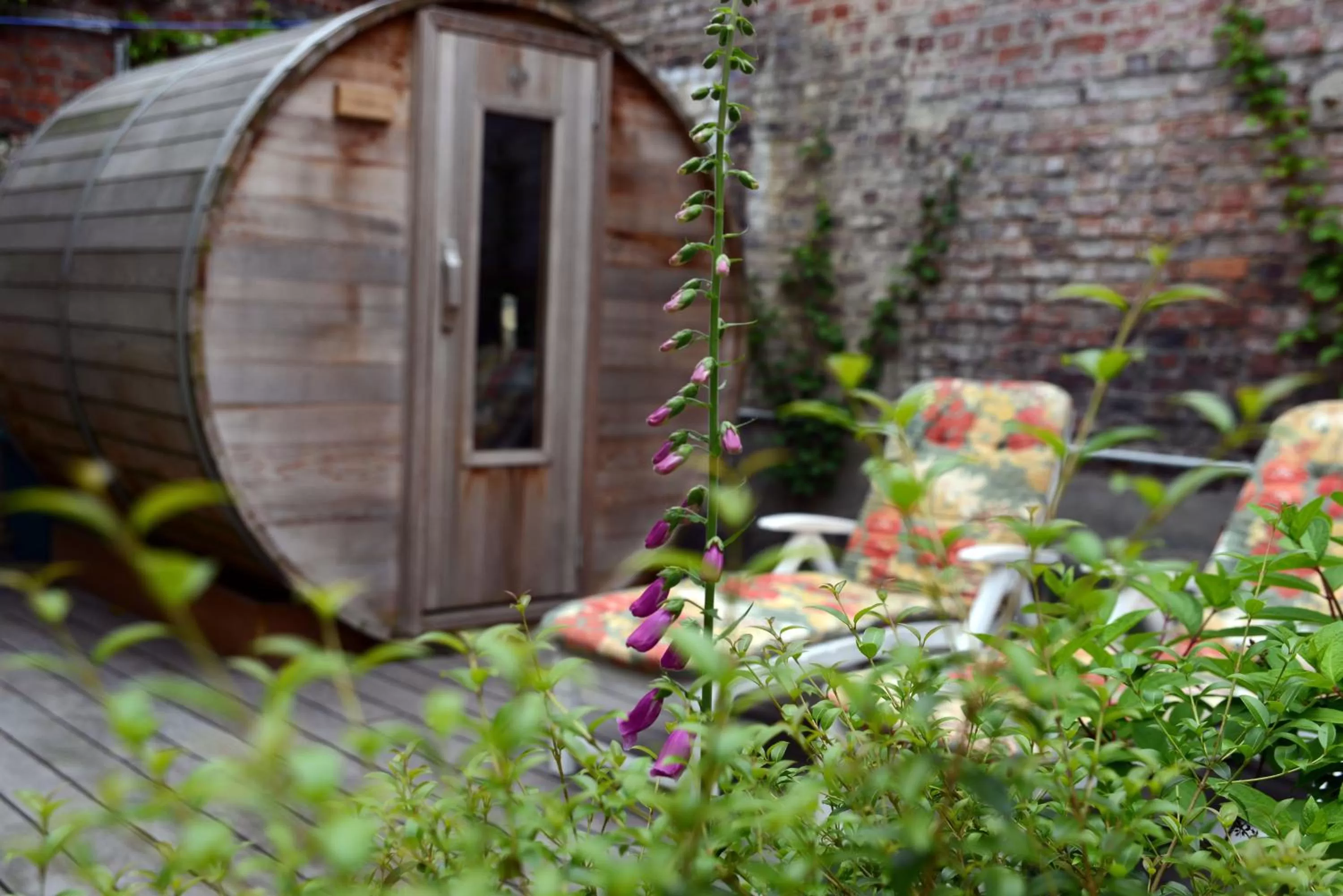 Garden in R&breakfast