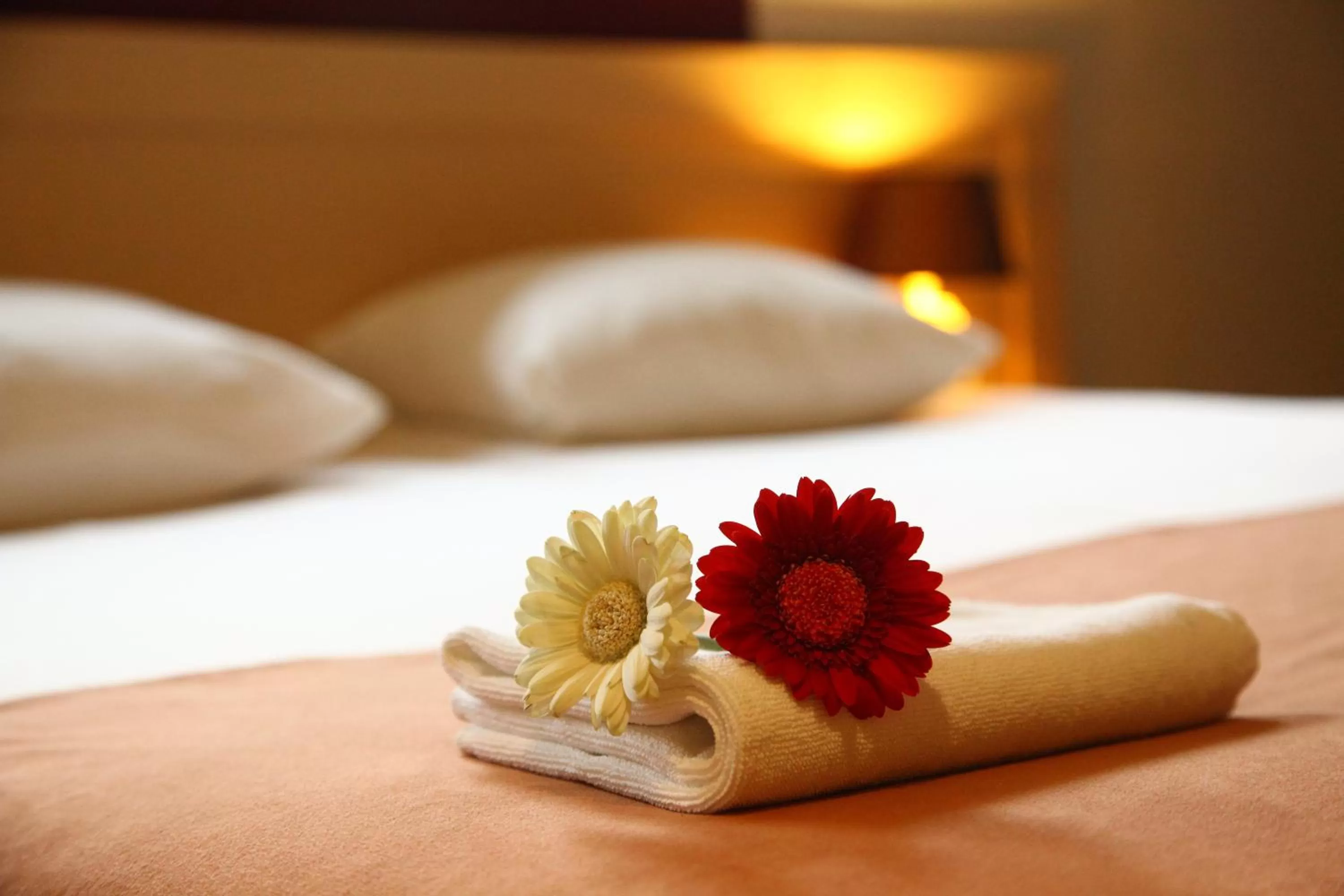 Other, Bed in De Witte Hoeve