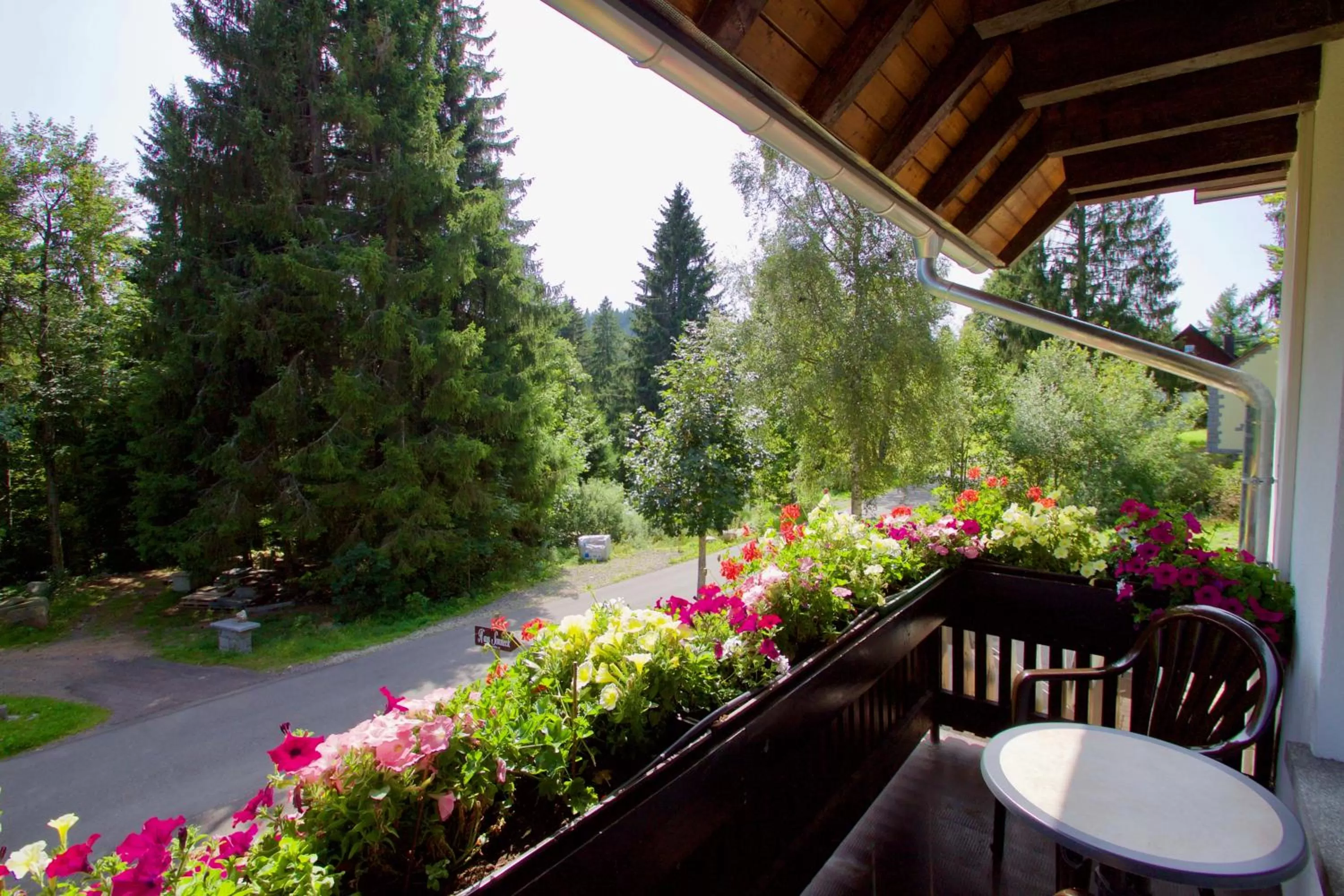 Natural landscape in Haus Sonneck