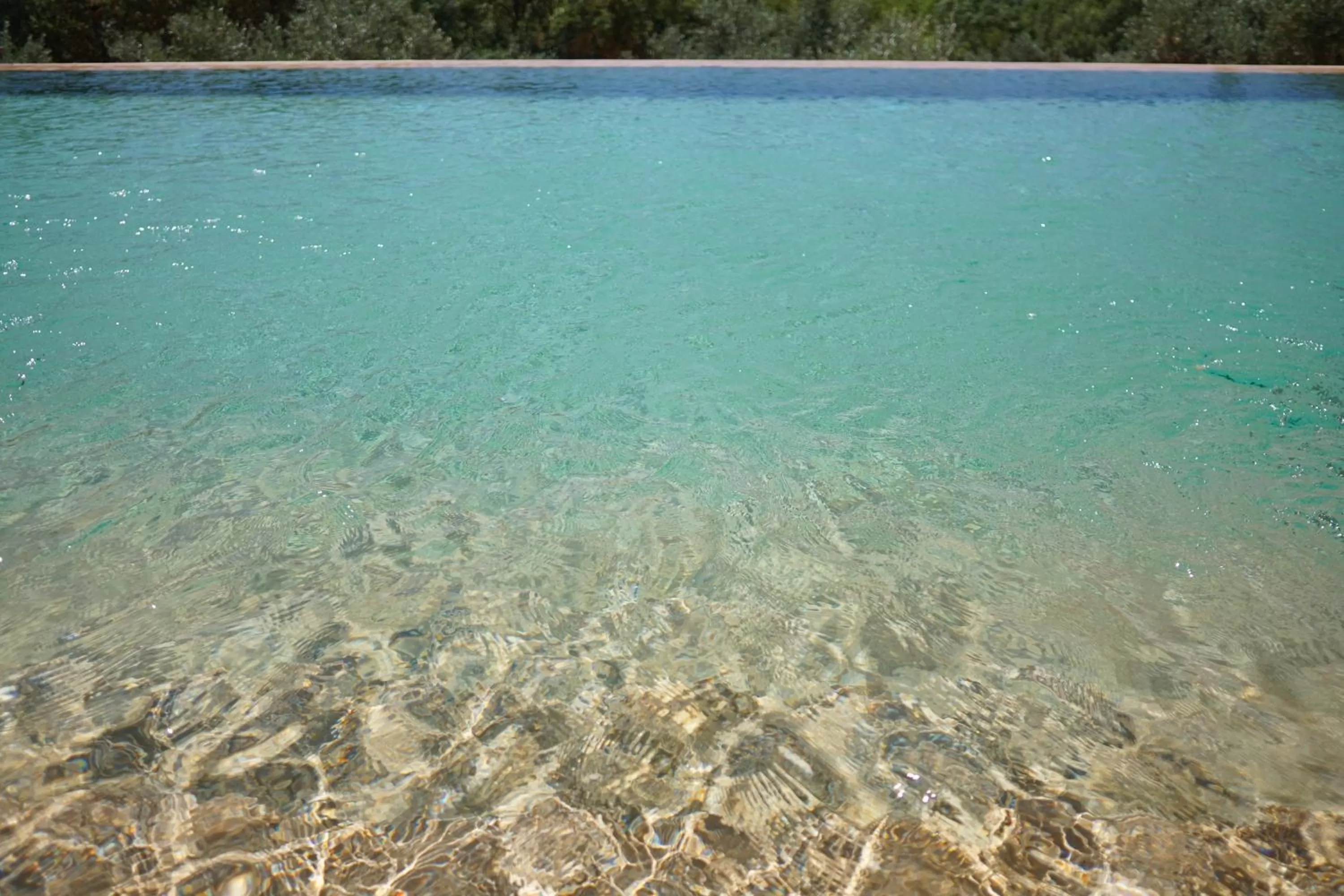 Swimming pool in Hacienda Fresneda María by Real Spain Hotels Adults Recommended