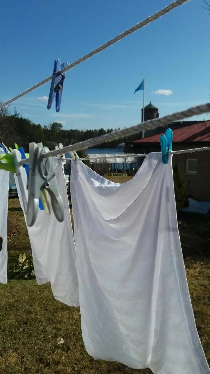 Spring in Lossiranta Lodge