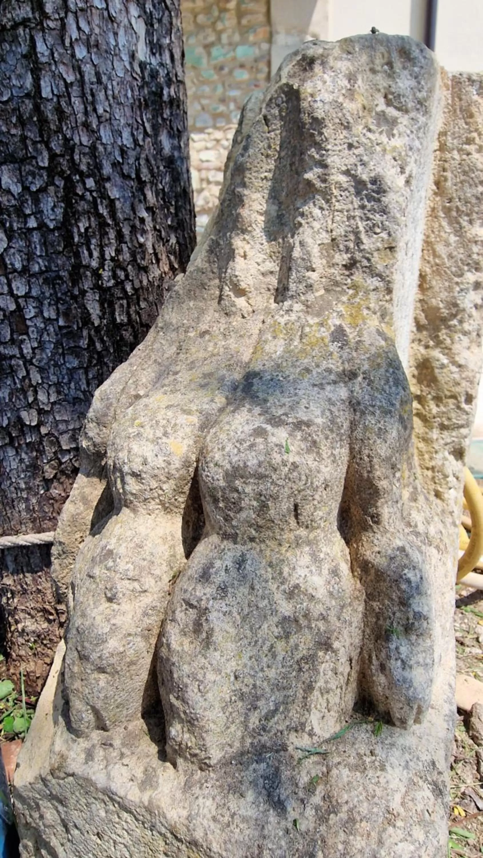 Decorative detail in Casa Ossan