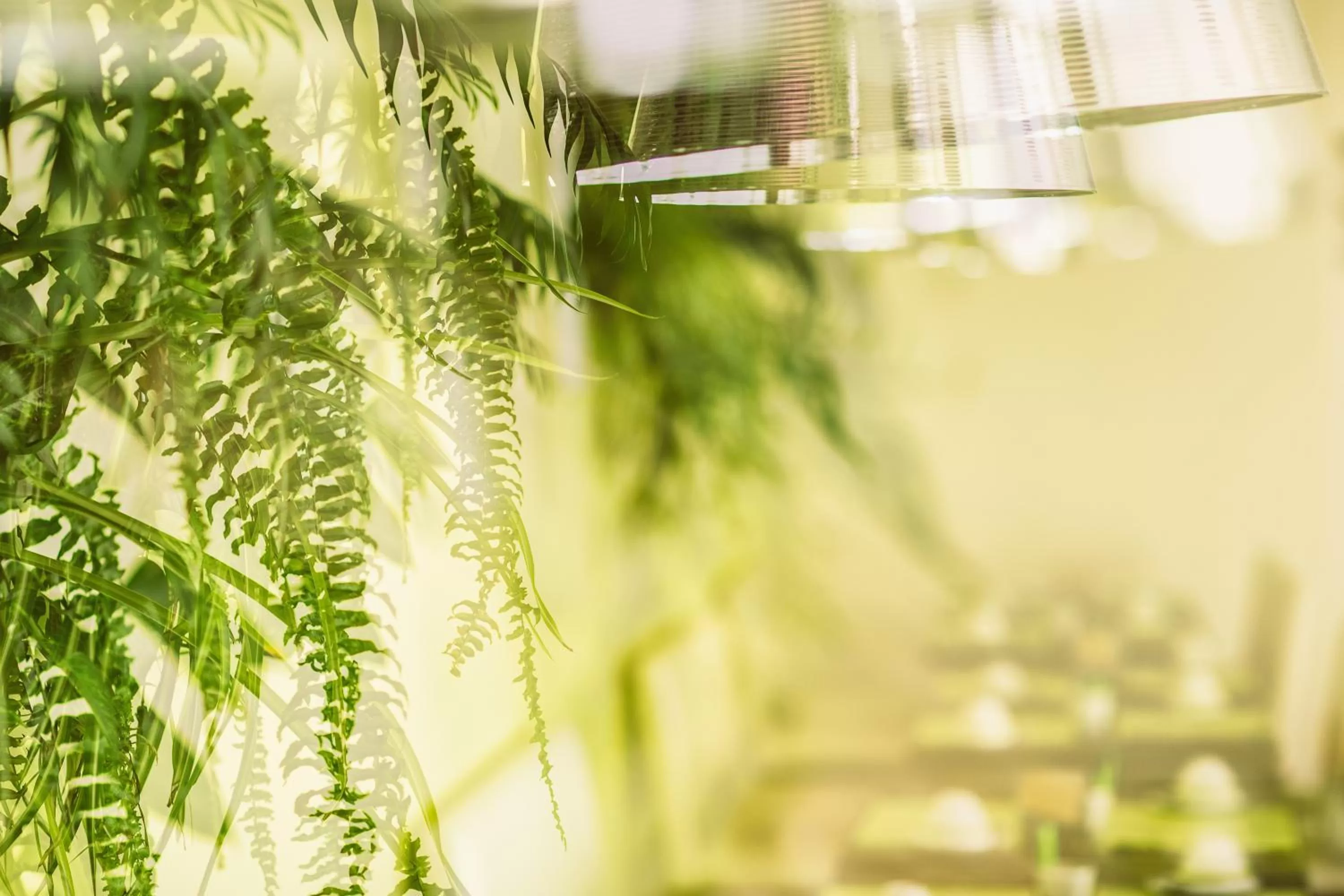 Decorative detail in Best Western Plus Richelieu