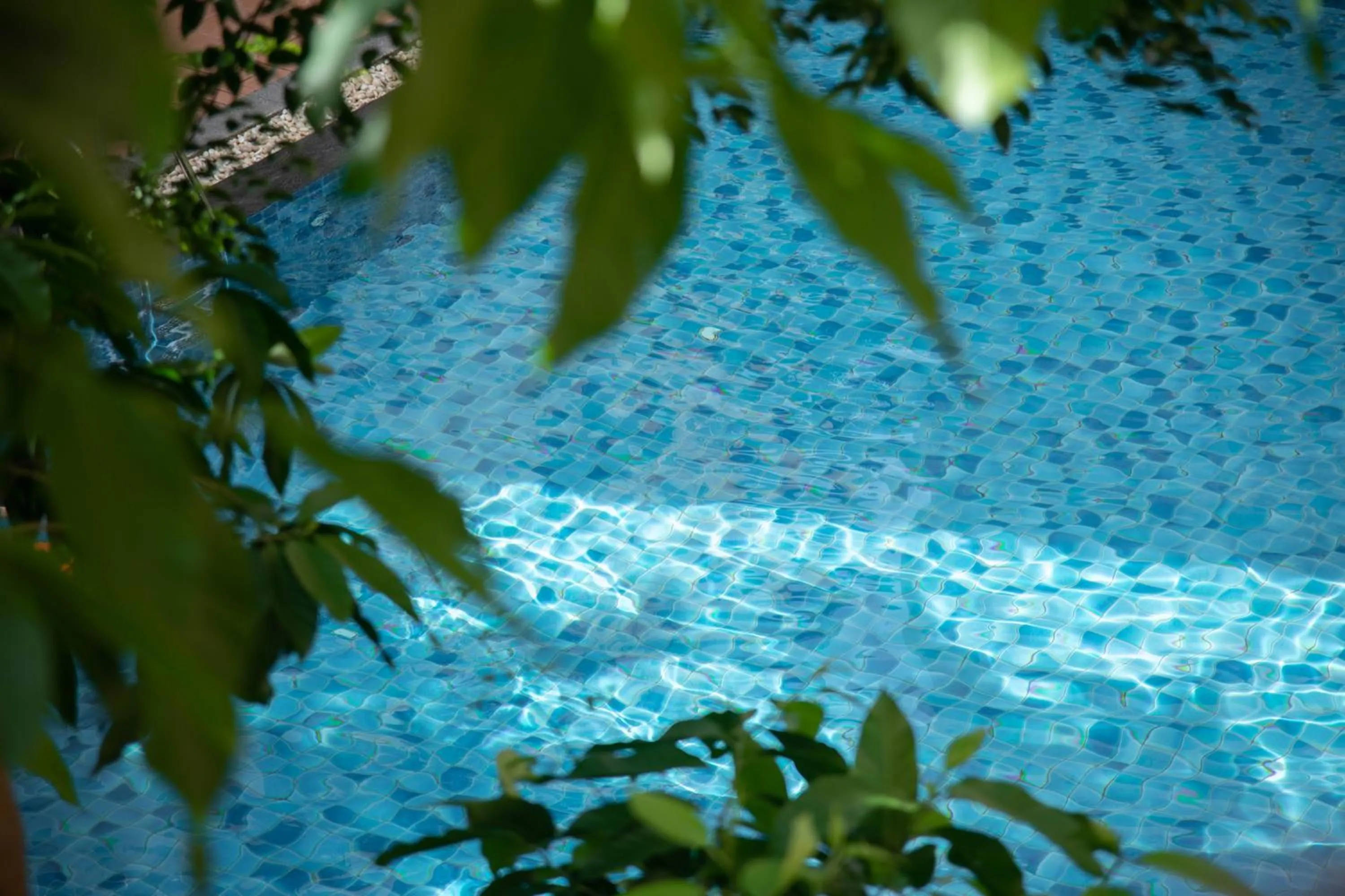 Swimming pool in Opey De Place