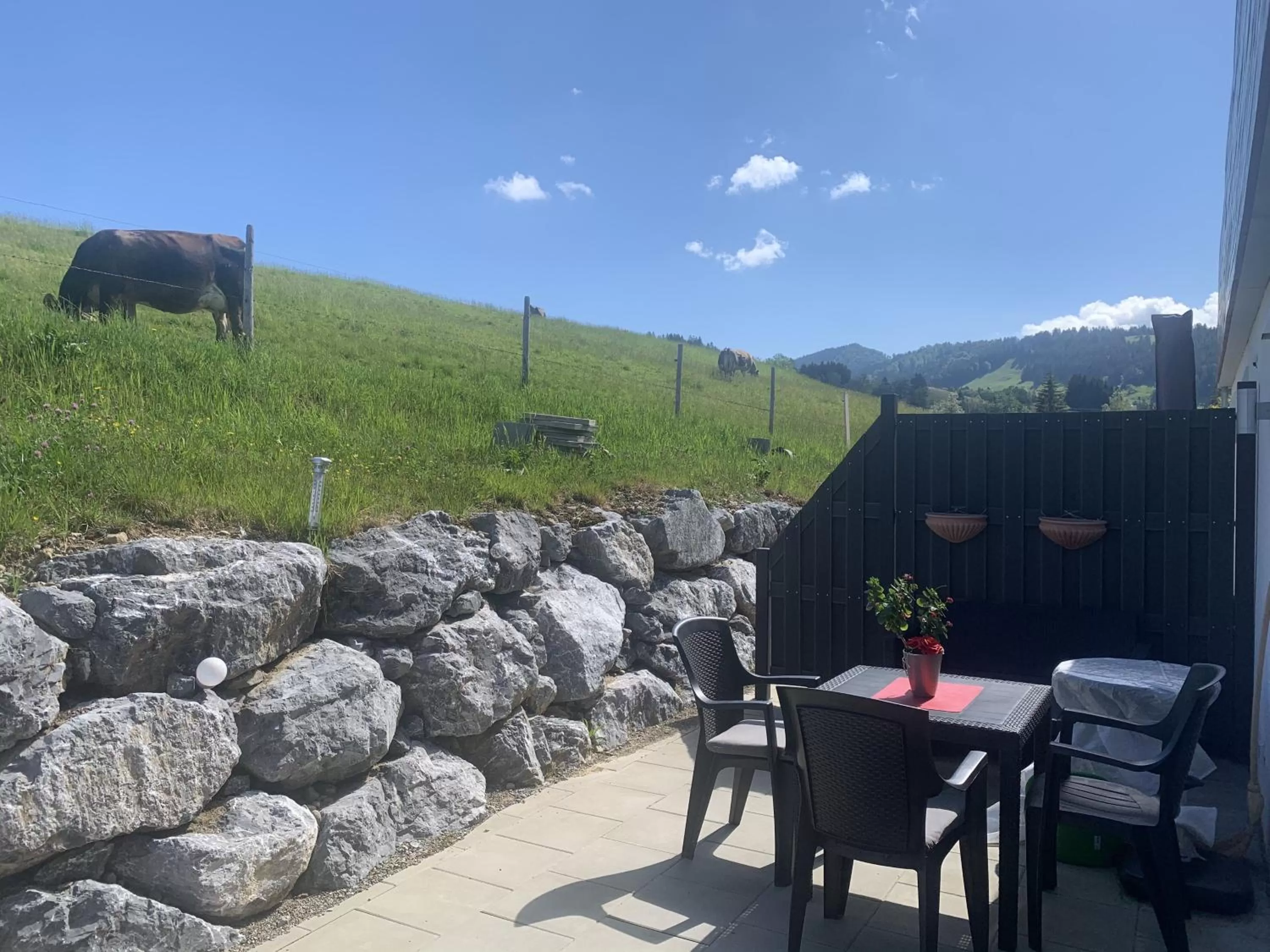 Allgäu Vital Oberstaufen inkl Oberstaufen Plus Card