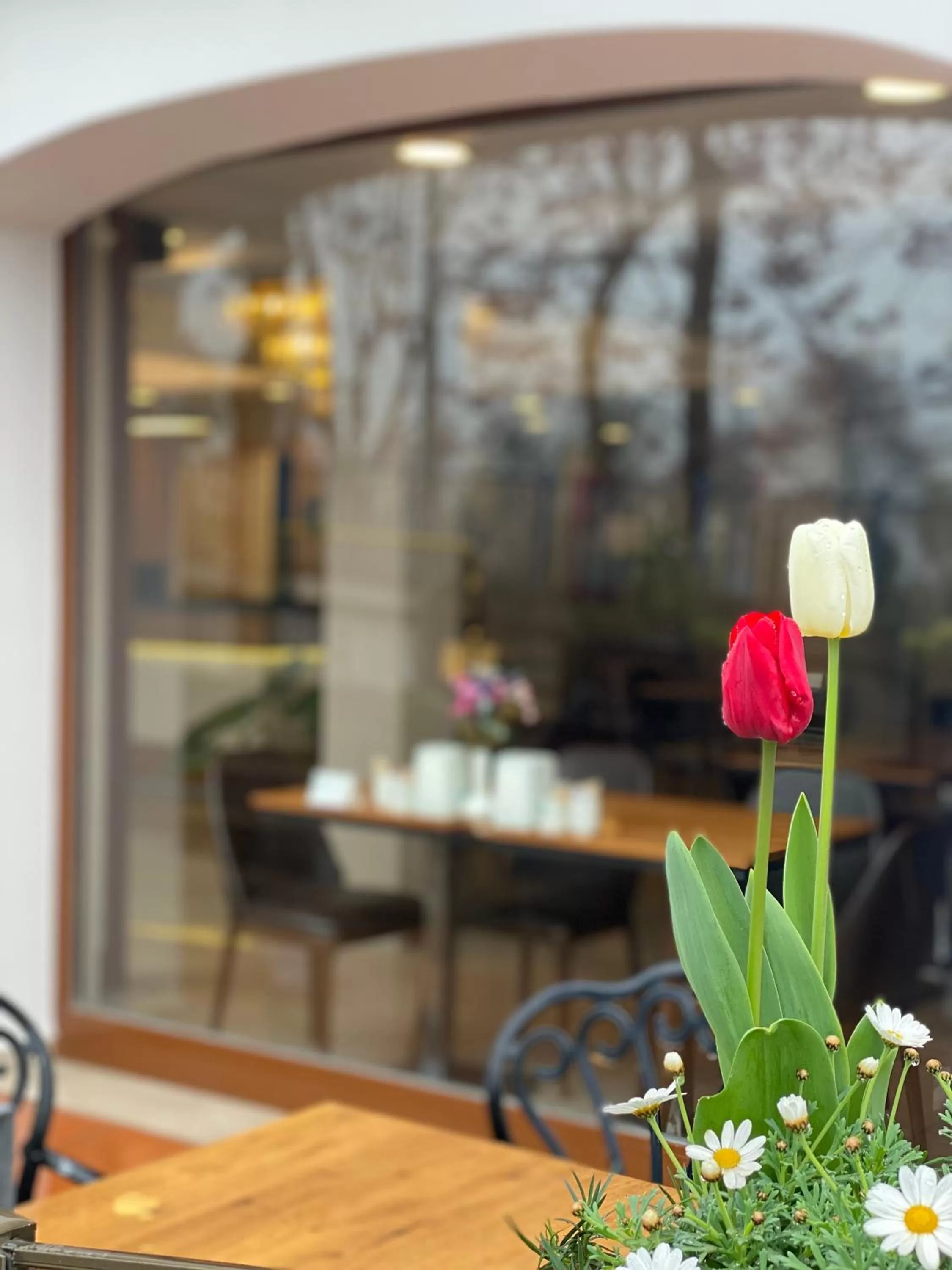 Property building in Blue Sea Hotel