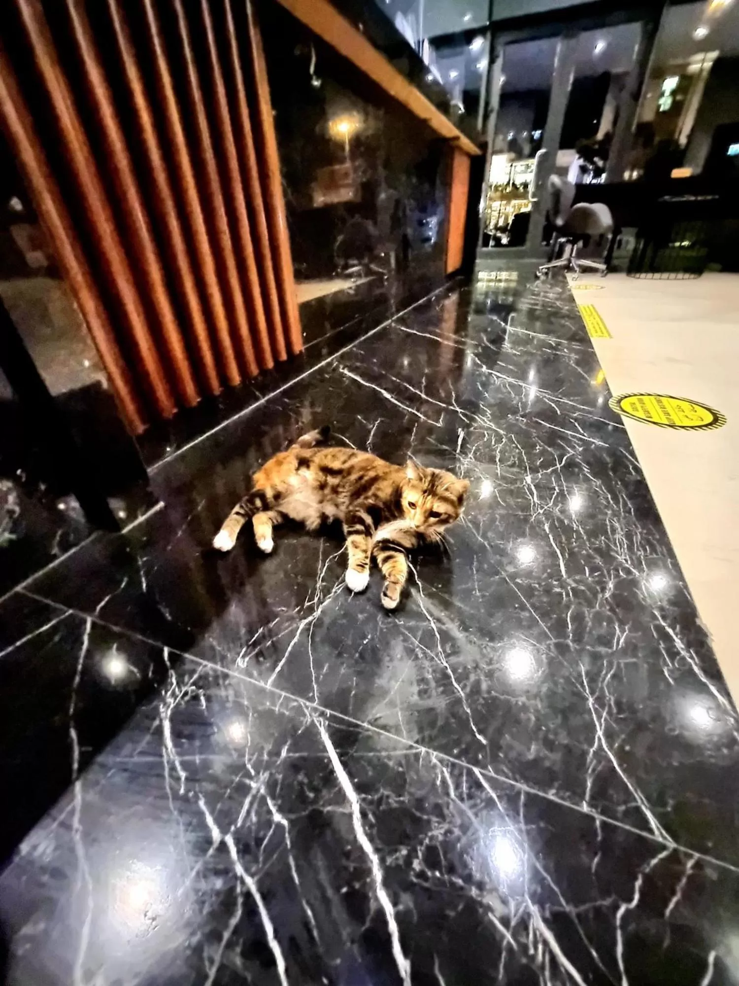 Lobby or reception in CHER HOTEL&SPA İstanbul Beyoğlu