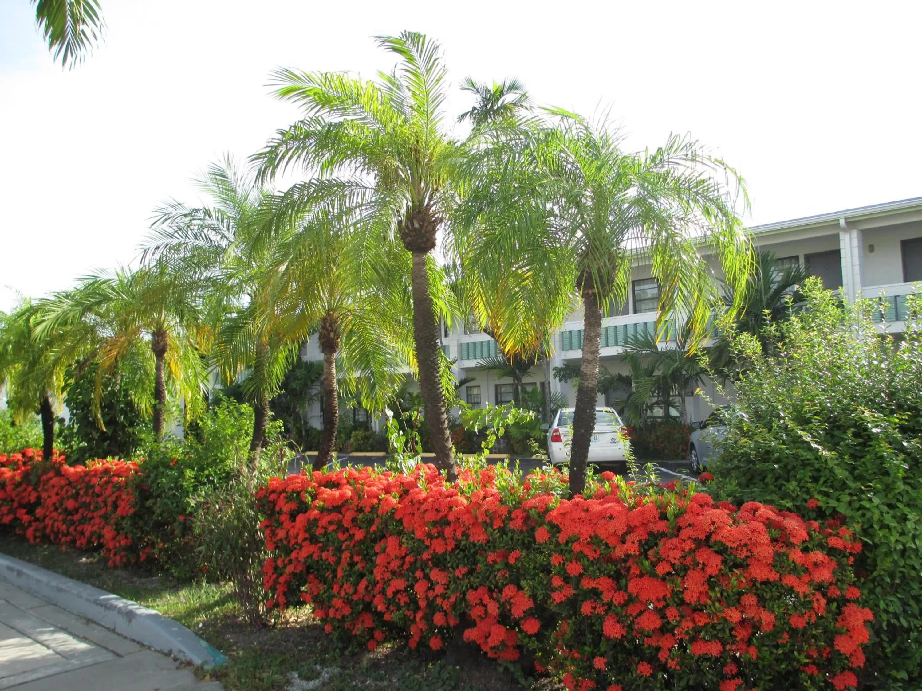Decorative detail in Shalimar Motel