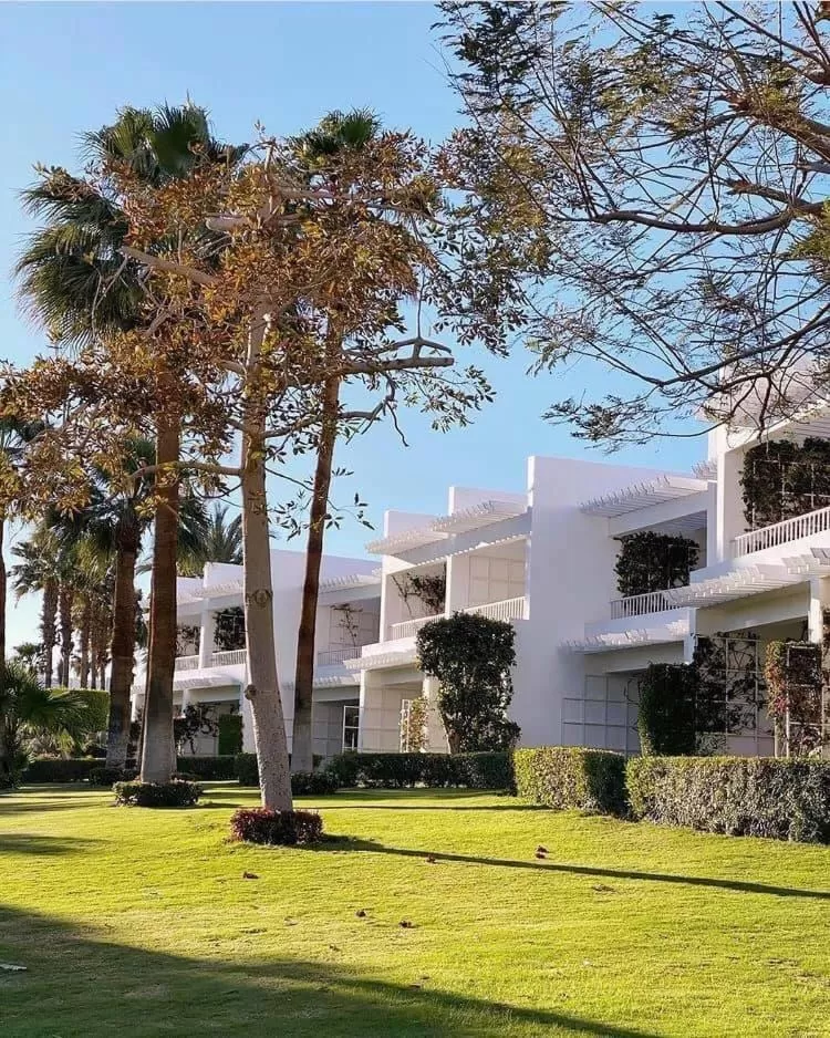 Natural landscape in Monte Carlo Sharm Resort & Spa