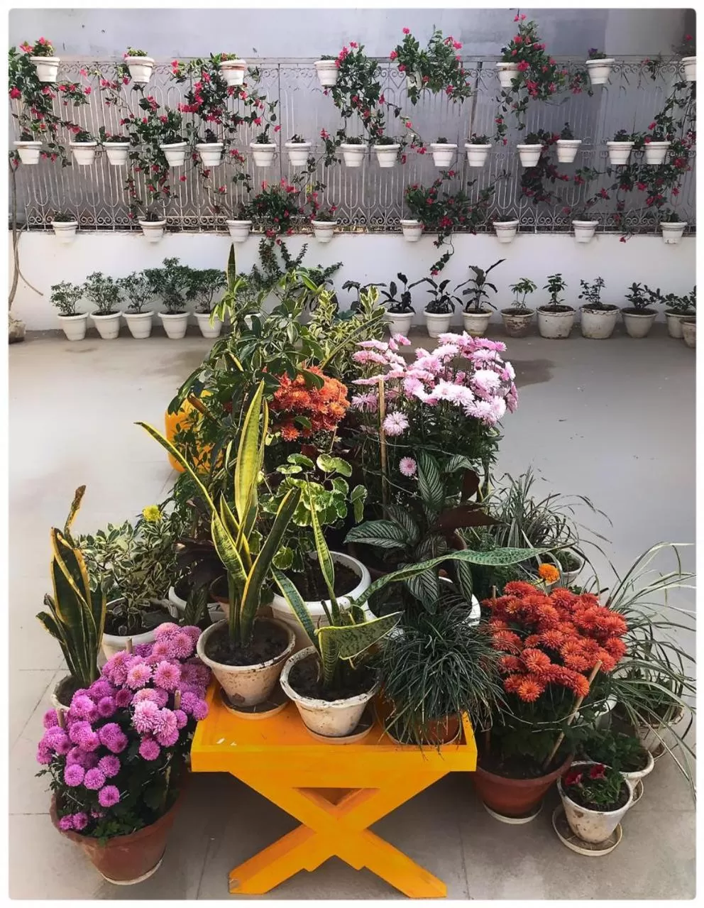 Property building in Stay Banaras - A Boutique Hotel