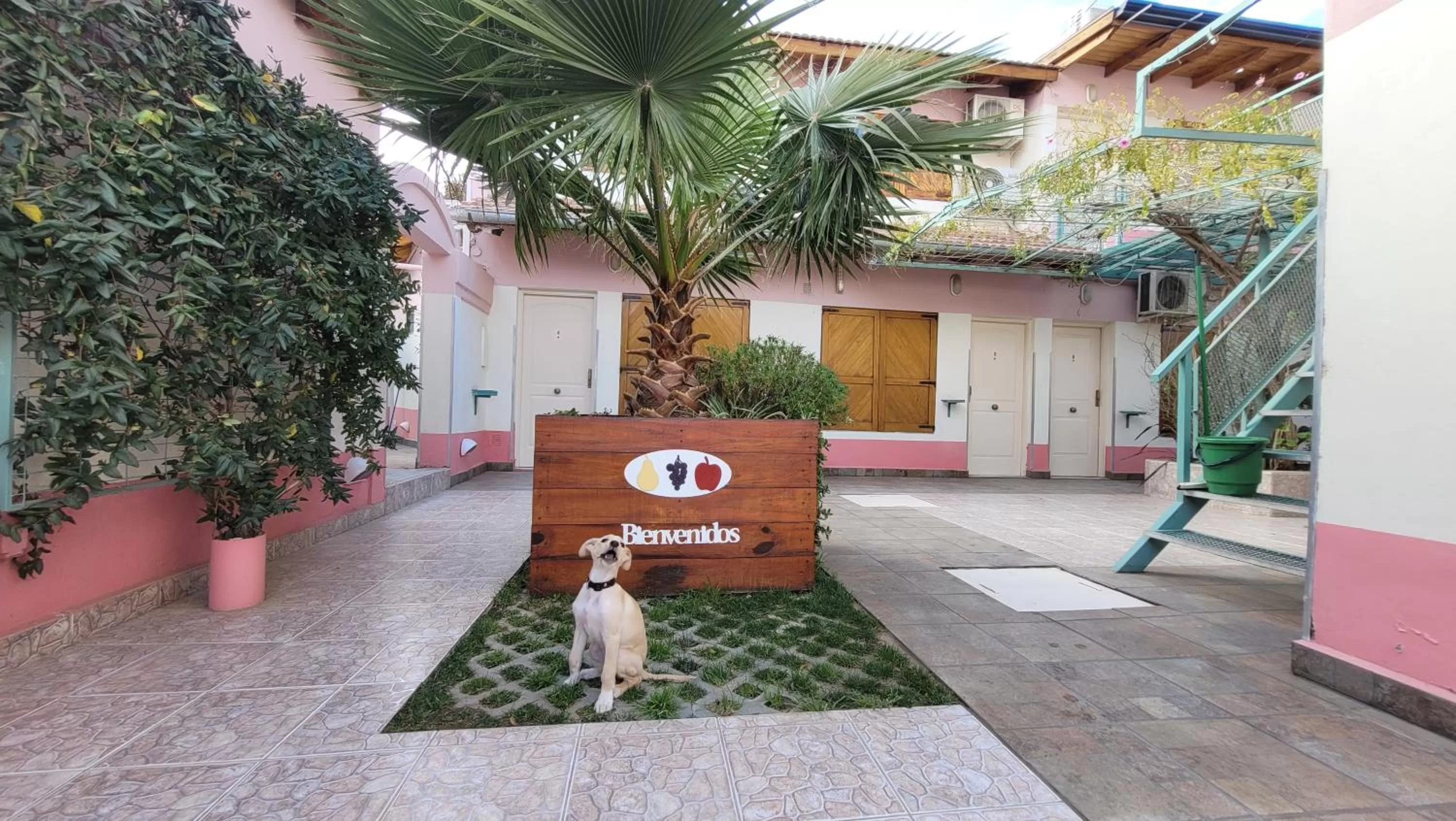 Pets in Complejo Solar Apart