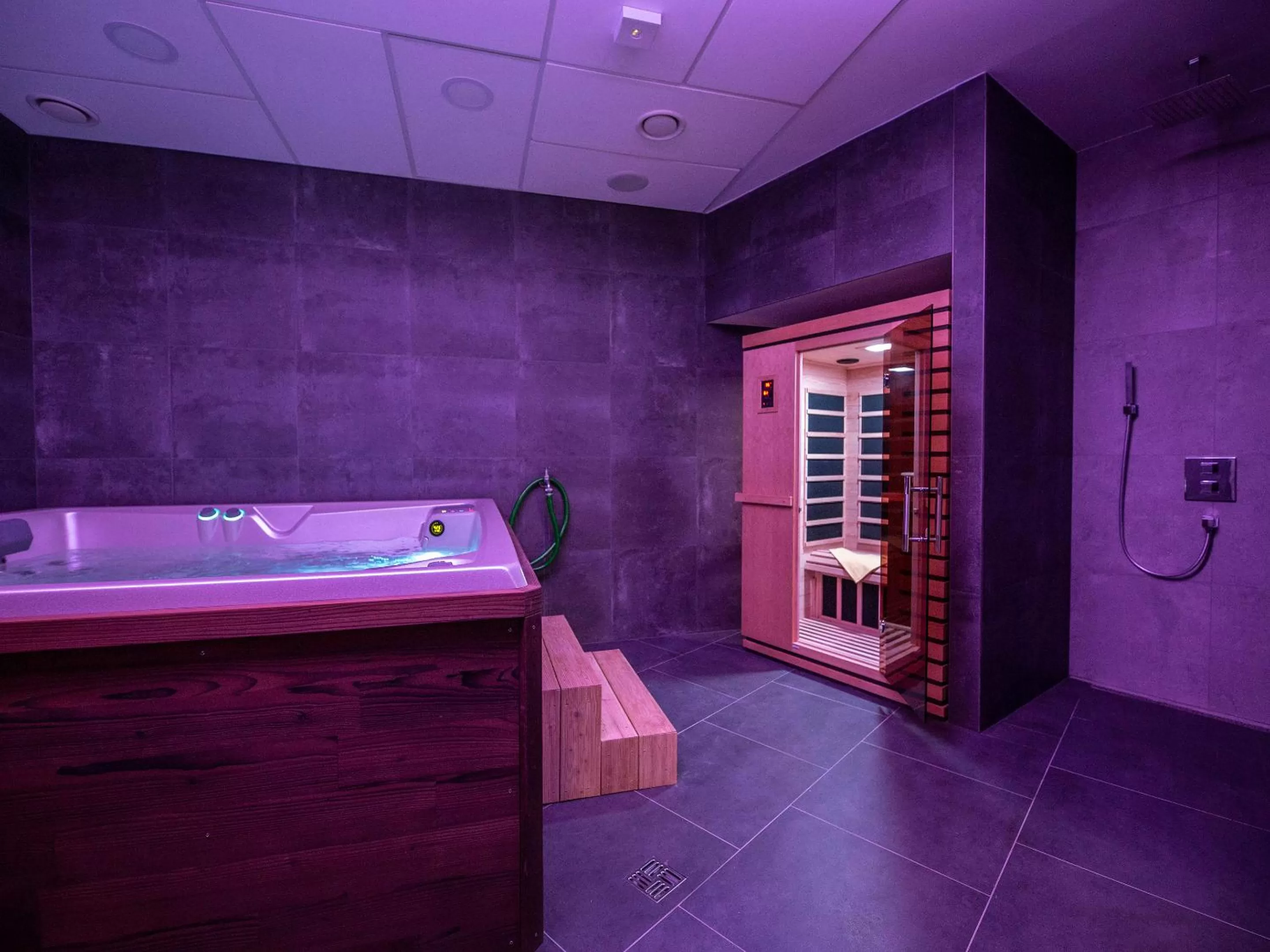 Sauna in Hotel TAMMEL