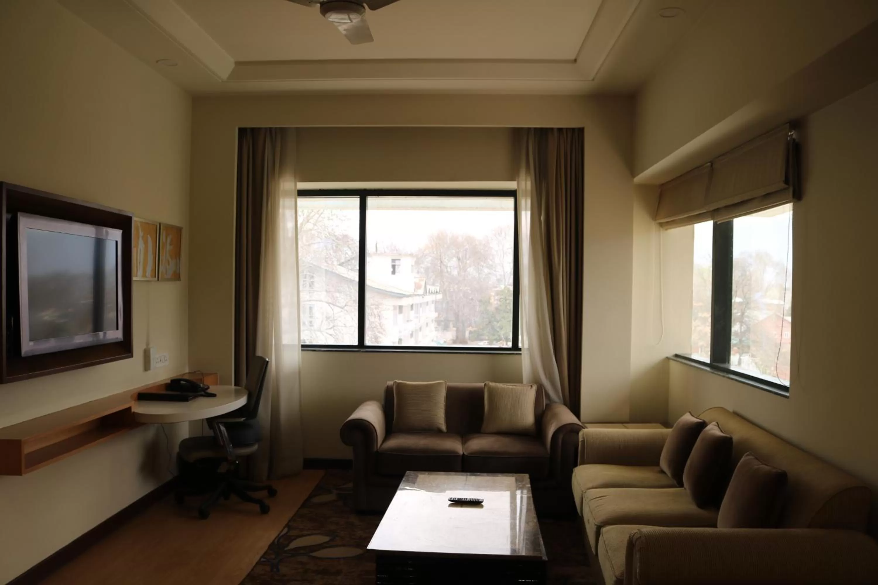 Living room in Radisson Srinagar