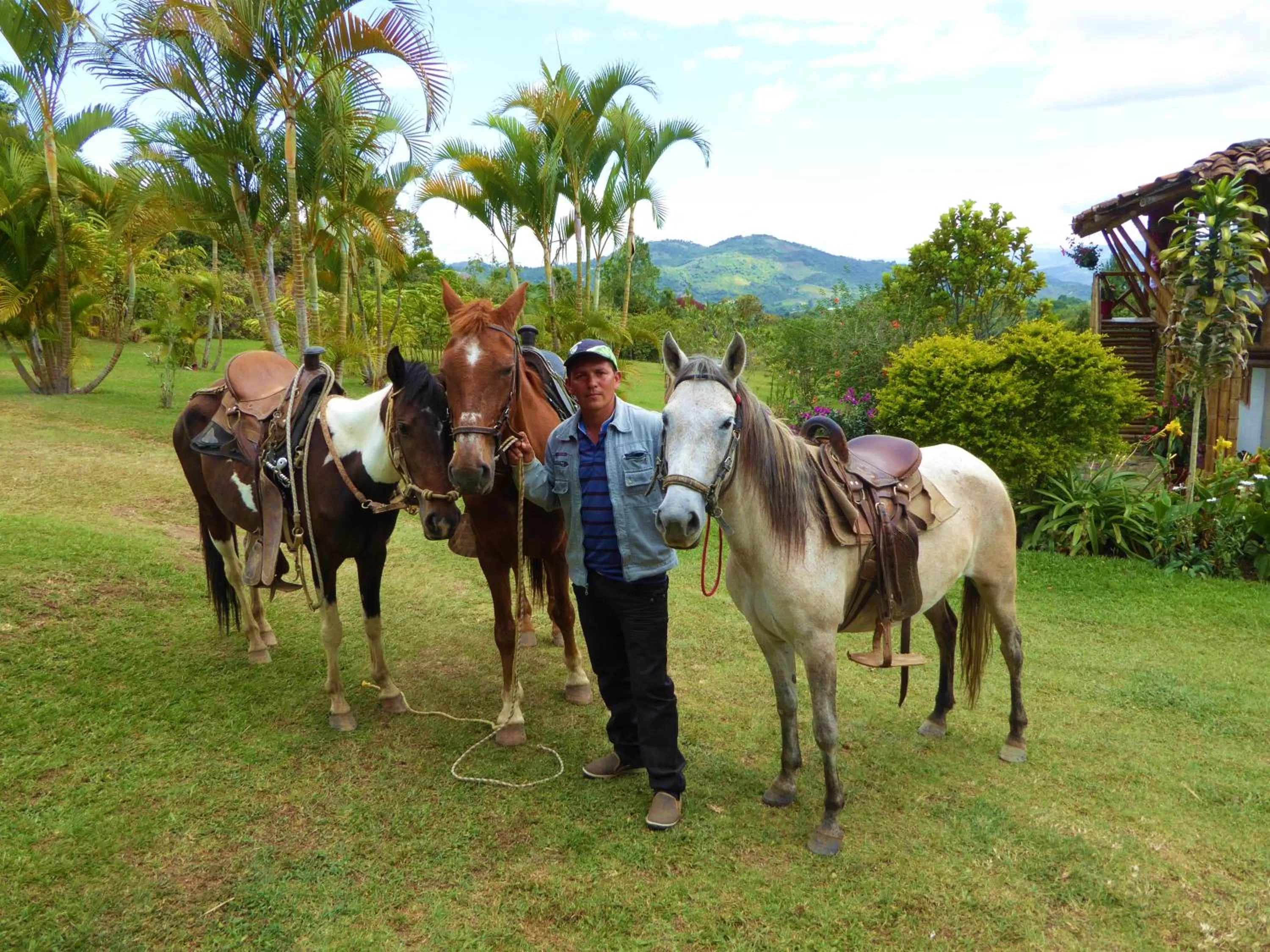 Hiking in Finca El Cielo