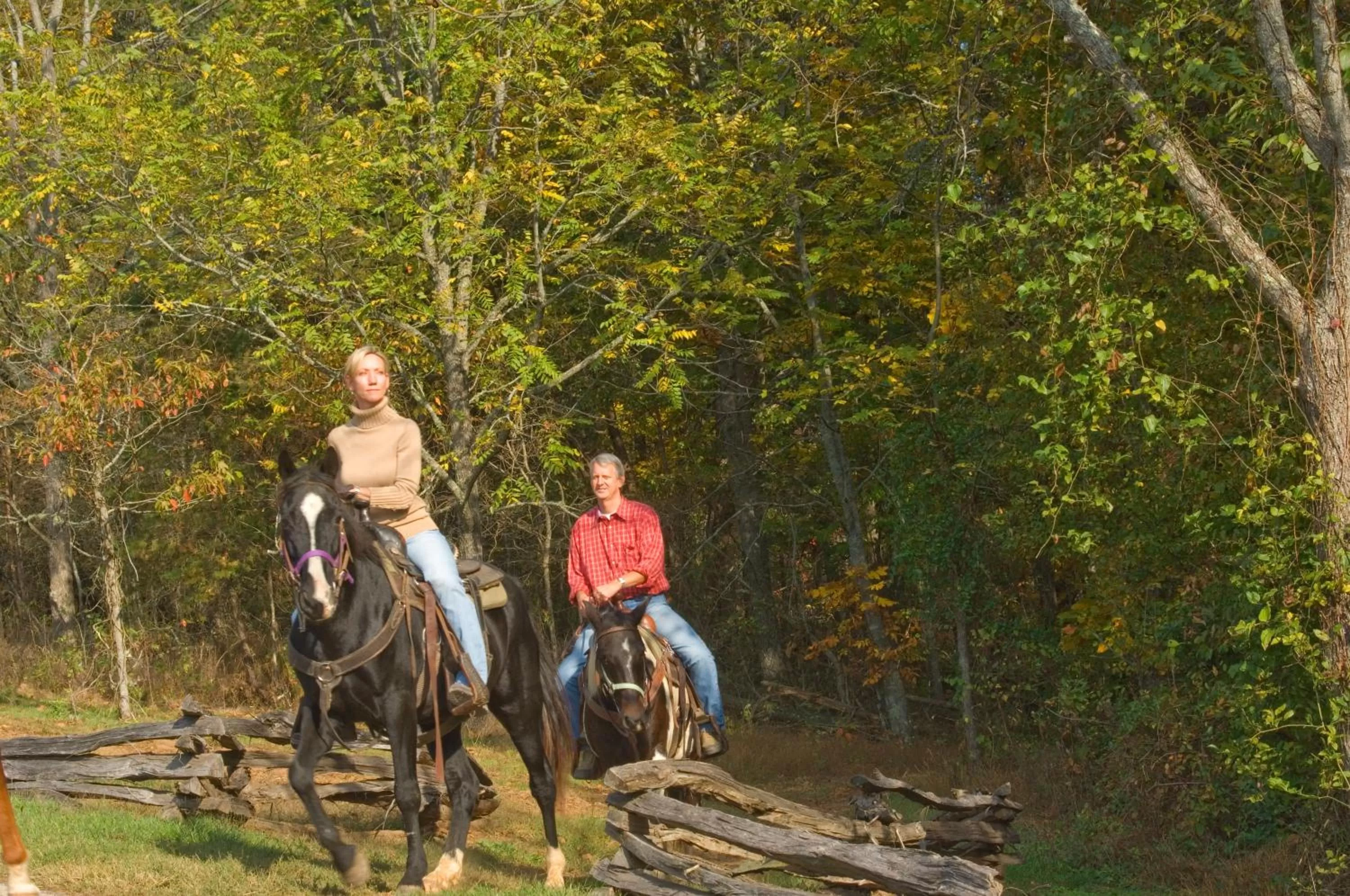 Horse-riding in Brasstown Valley Resort & Spa