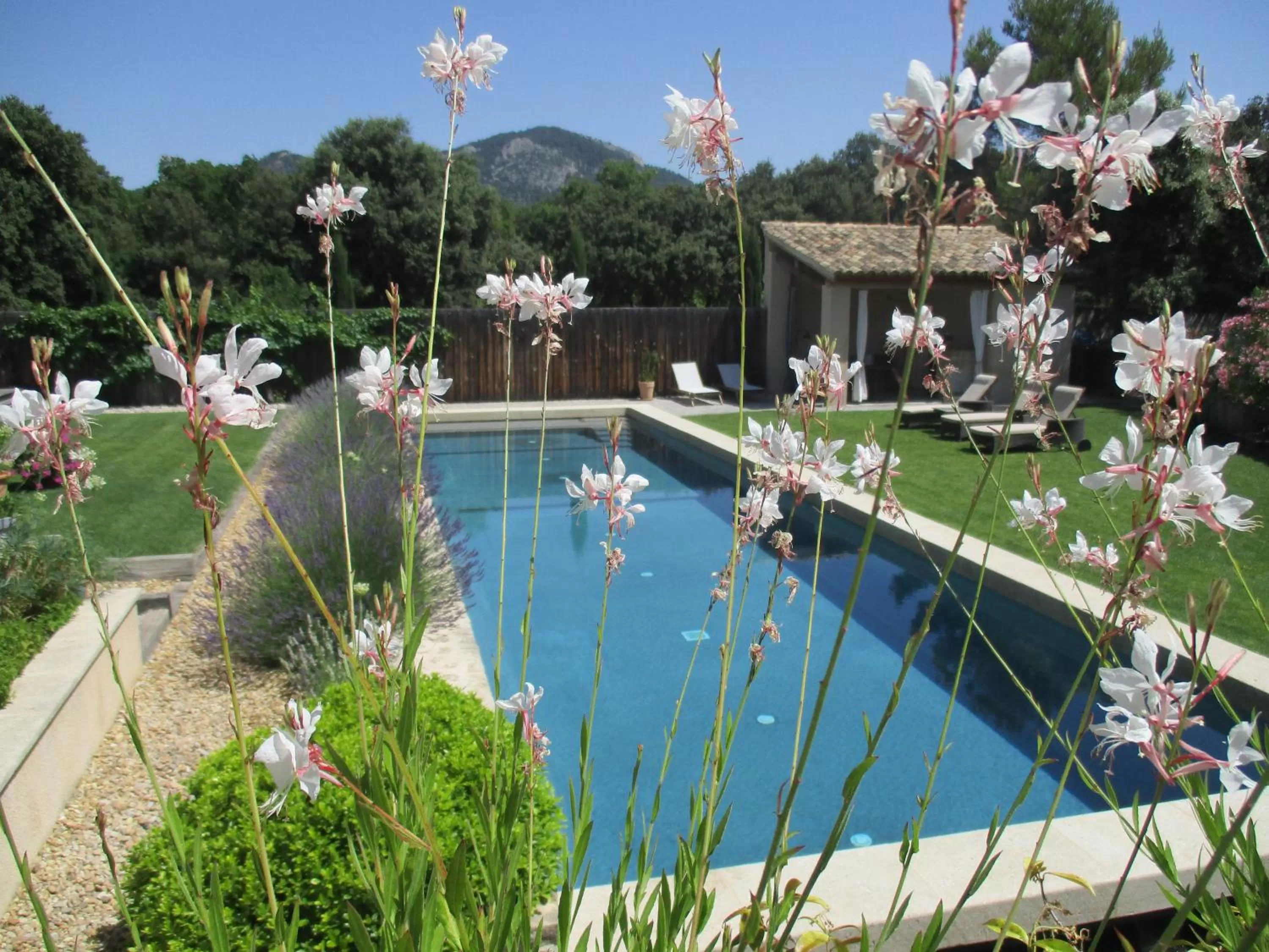 Day, Swimming Pool in La bergerie de Nano