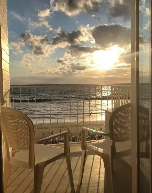 Hotel Alexander Museum Palace