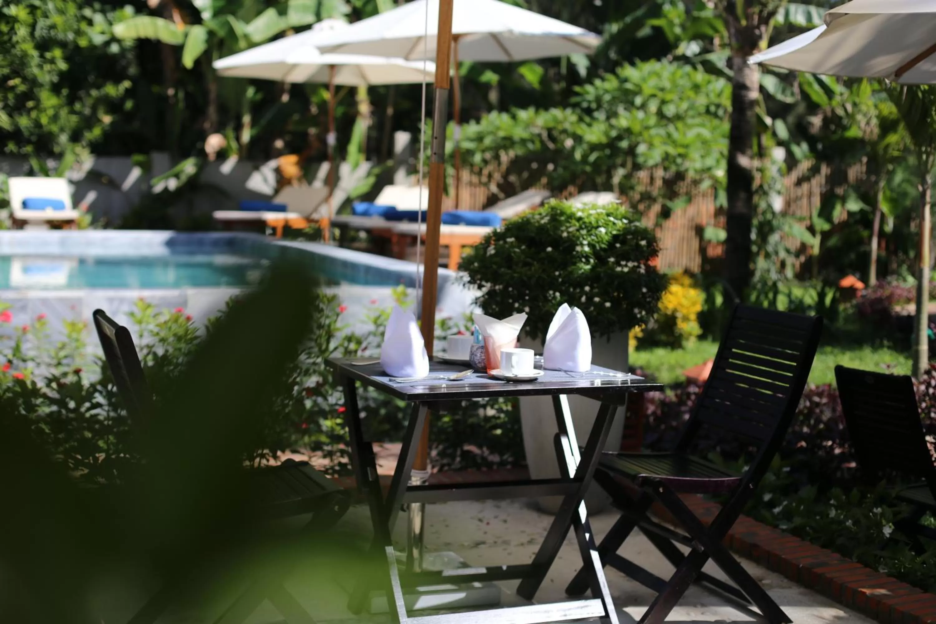 Restaurant/places to eat in AIRA Boutique Hoi An Hotel & Spa