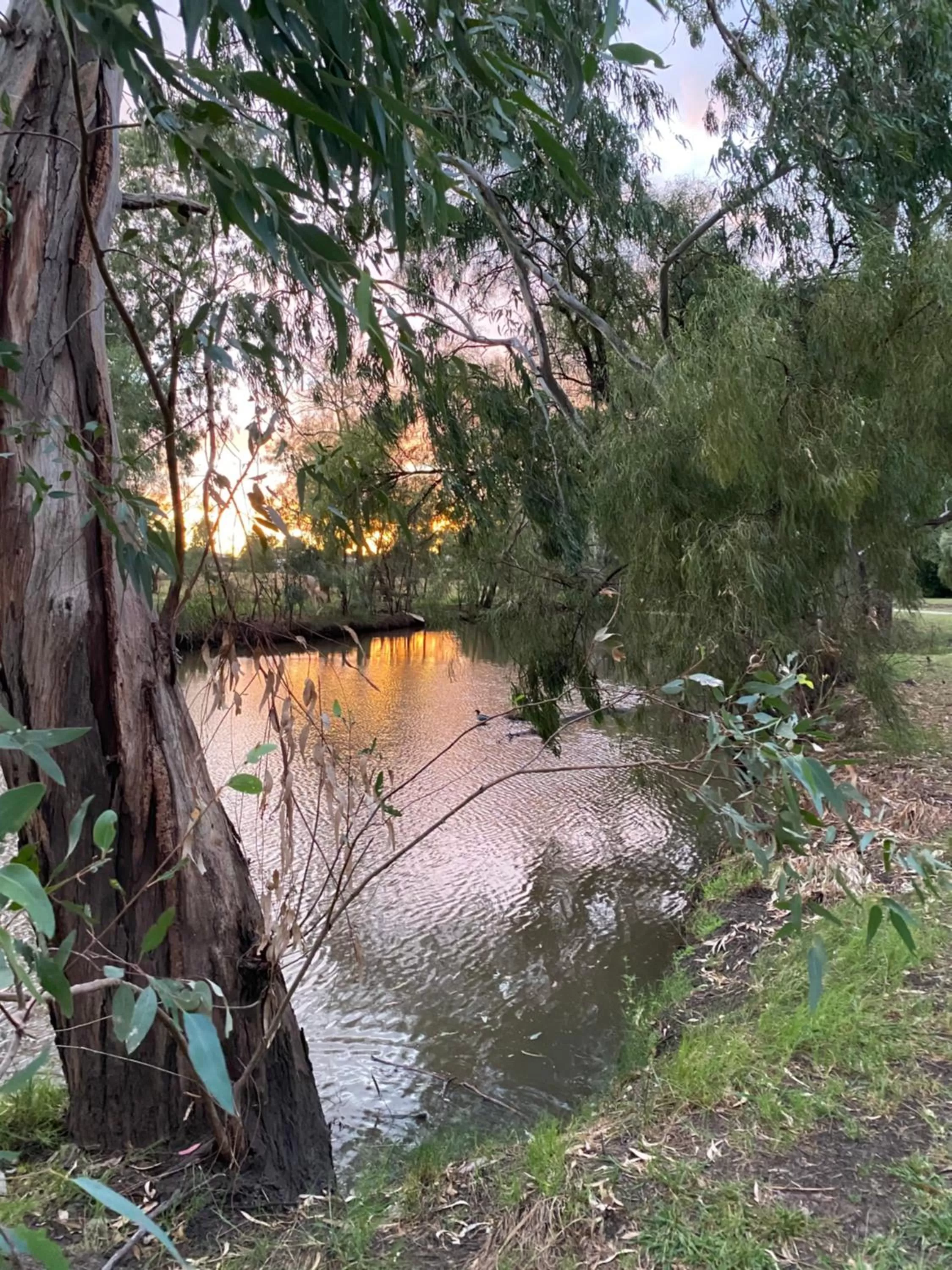 Activities in Country Pathfinder Motor Inn