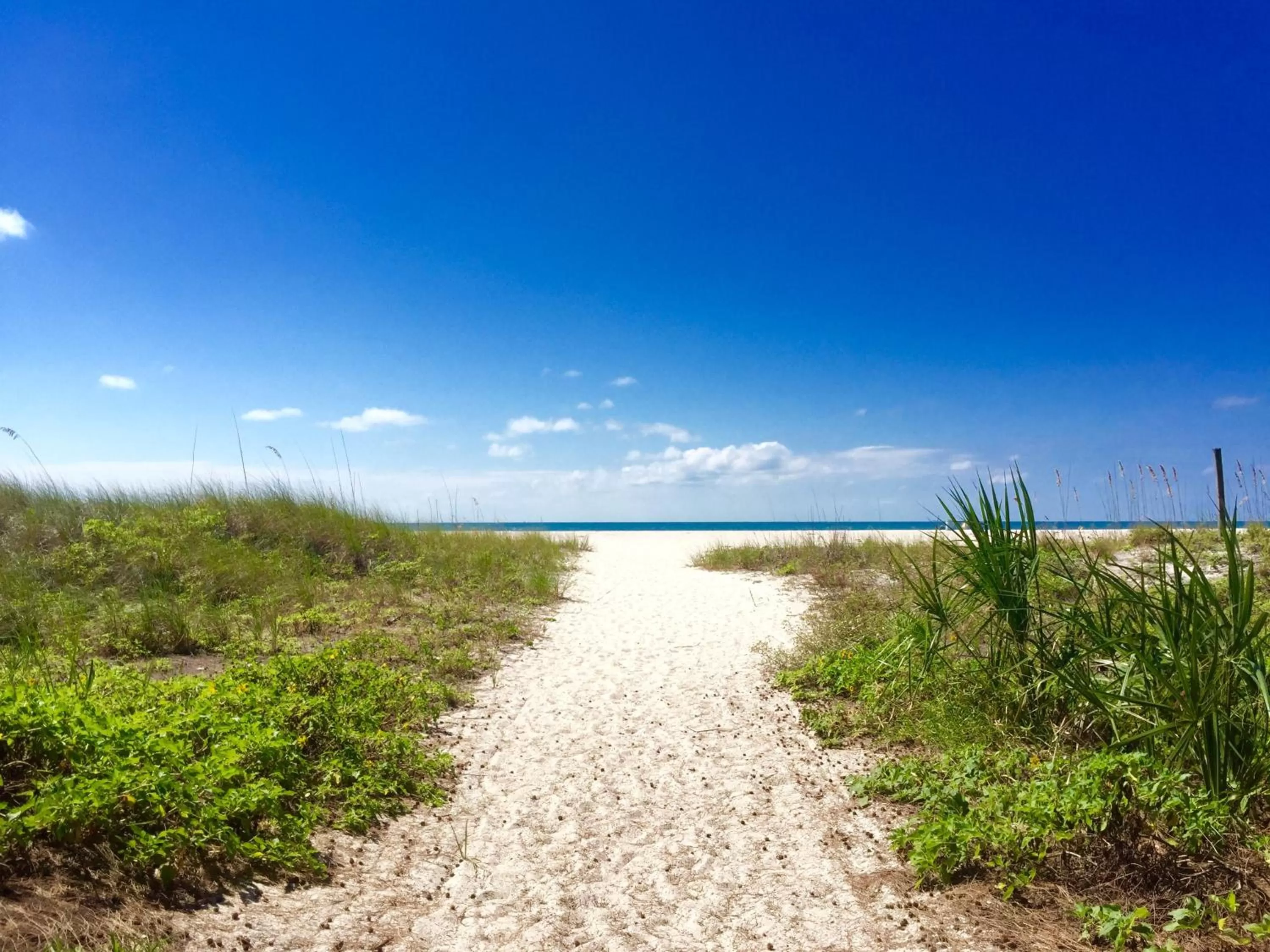 Day in The Molloy - A Boutique Beach Resort