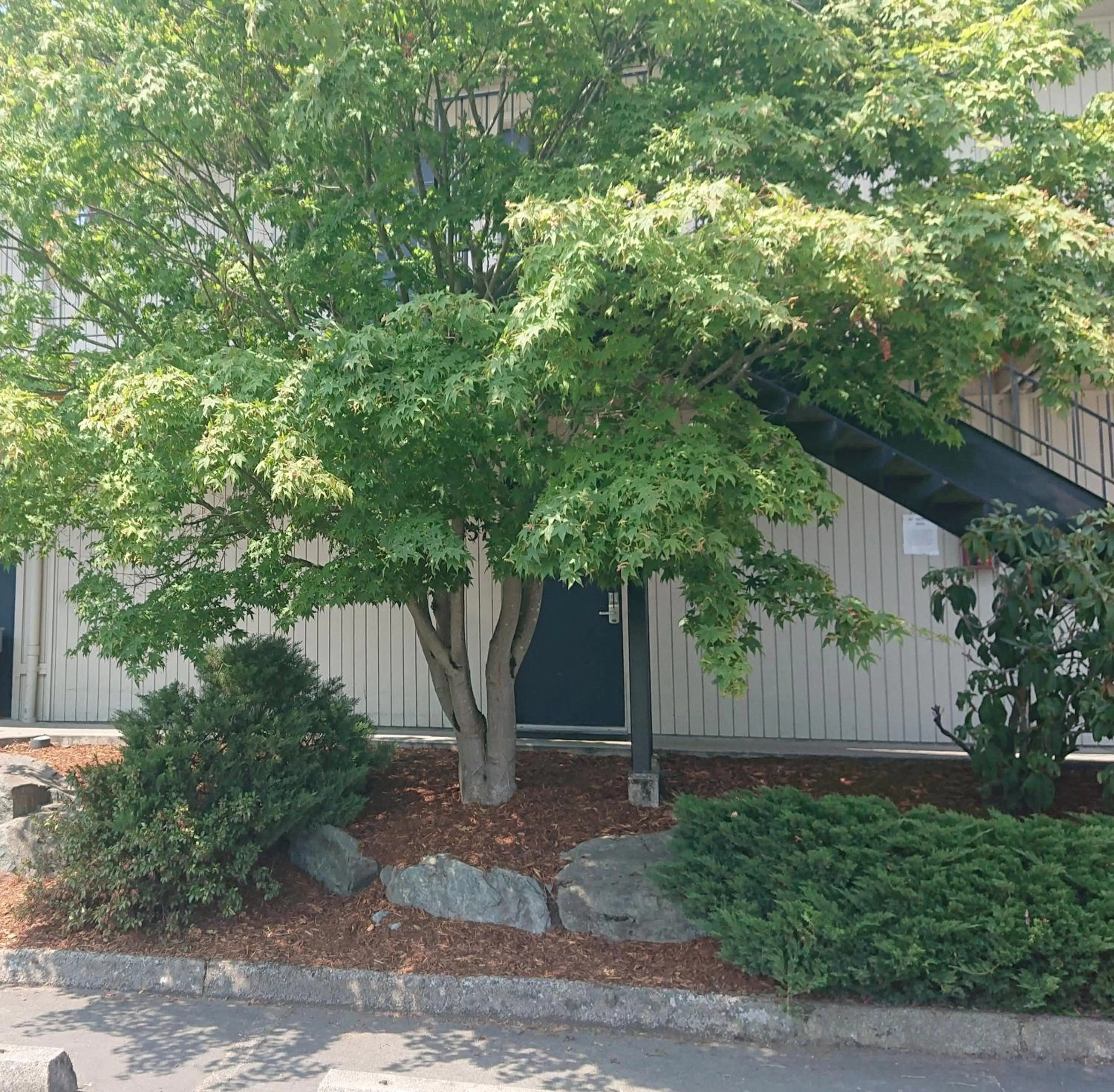 Property building in Cocusa Motel