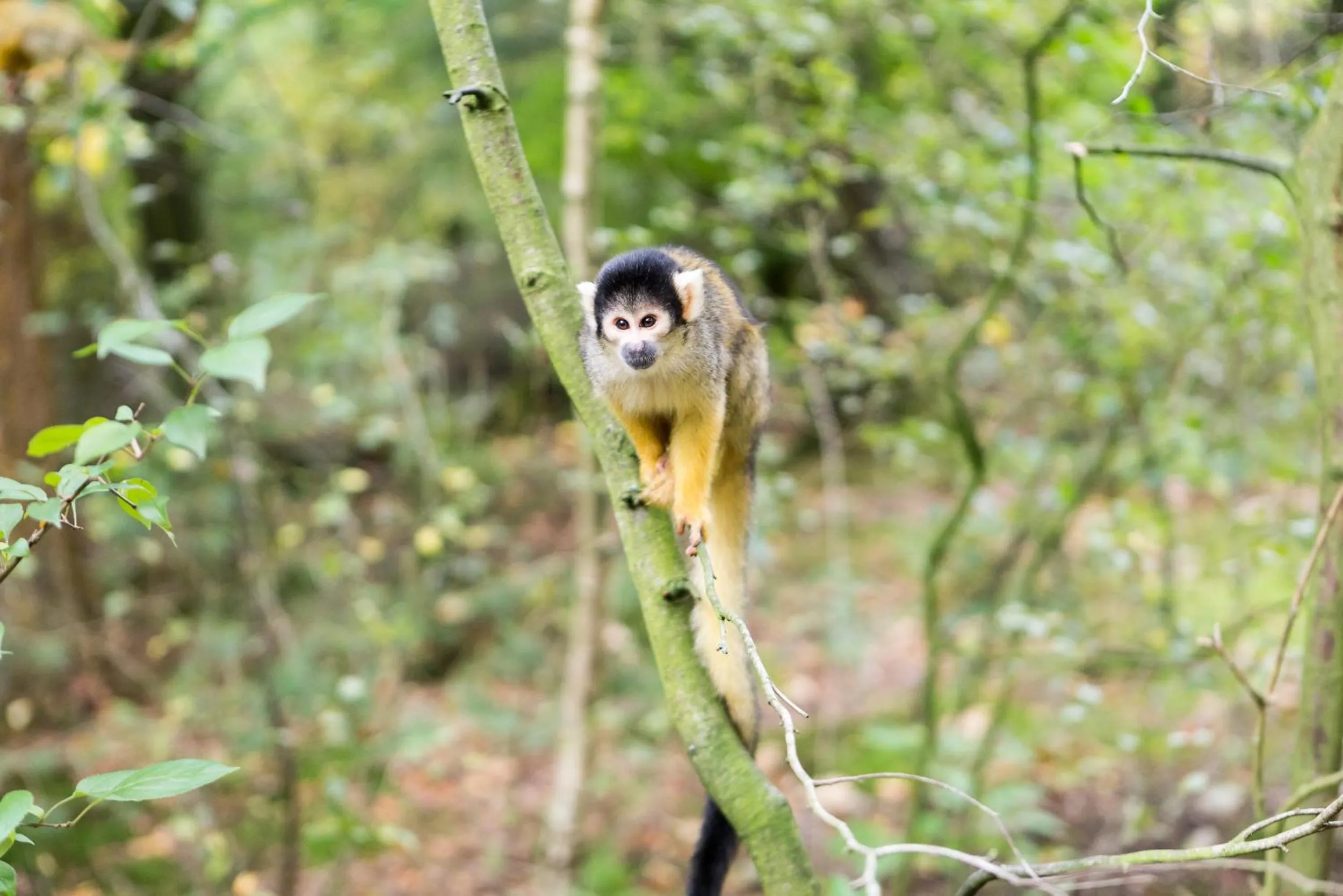 Area and facilities in Stayokay Hostel Apeldoorn