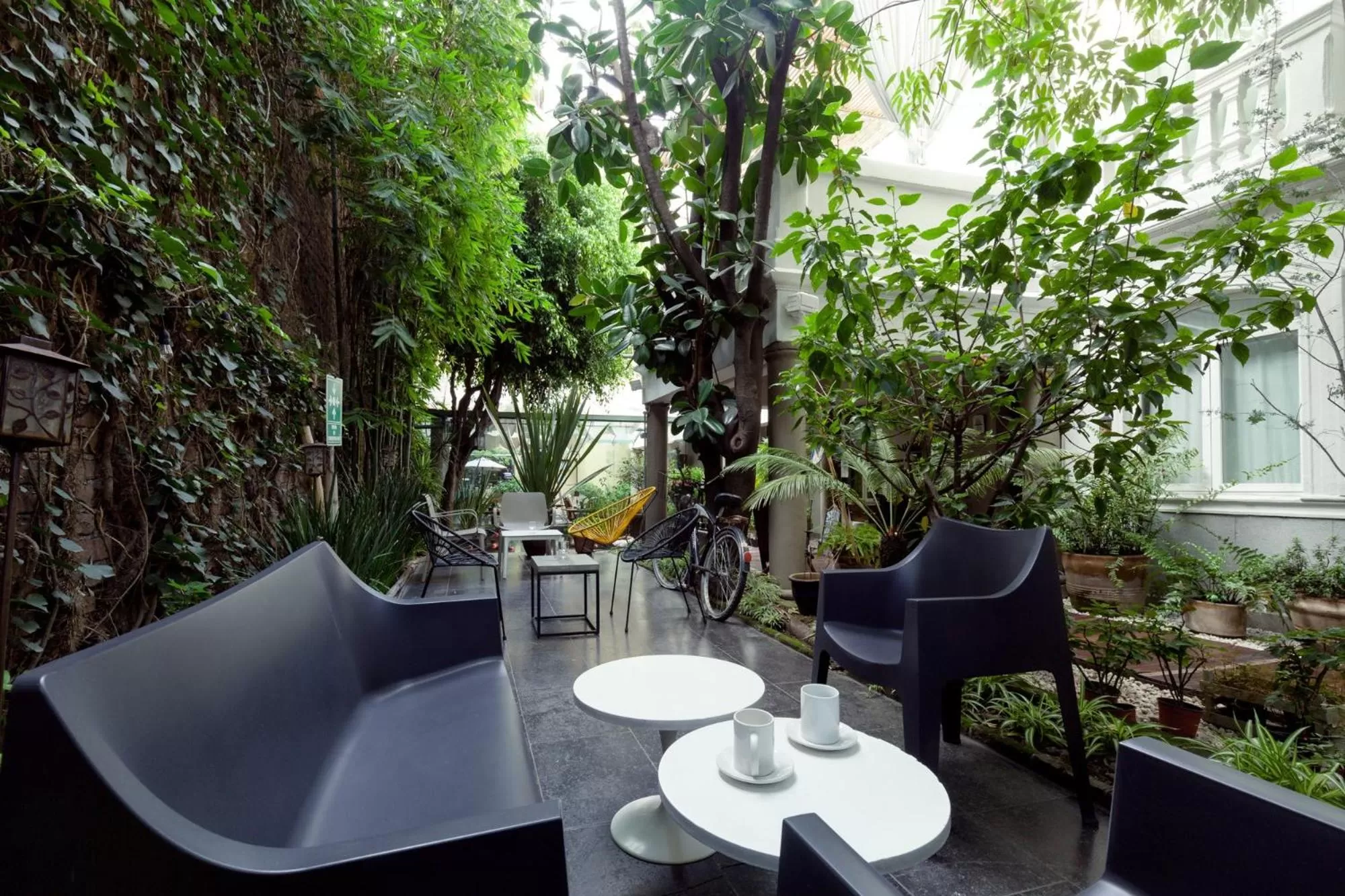 Patio in Hotel Villa Condesa