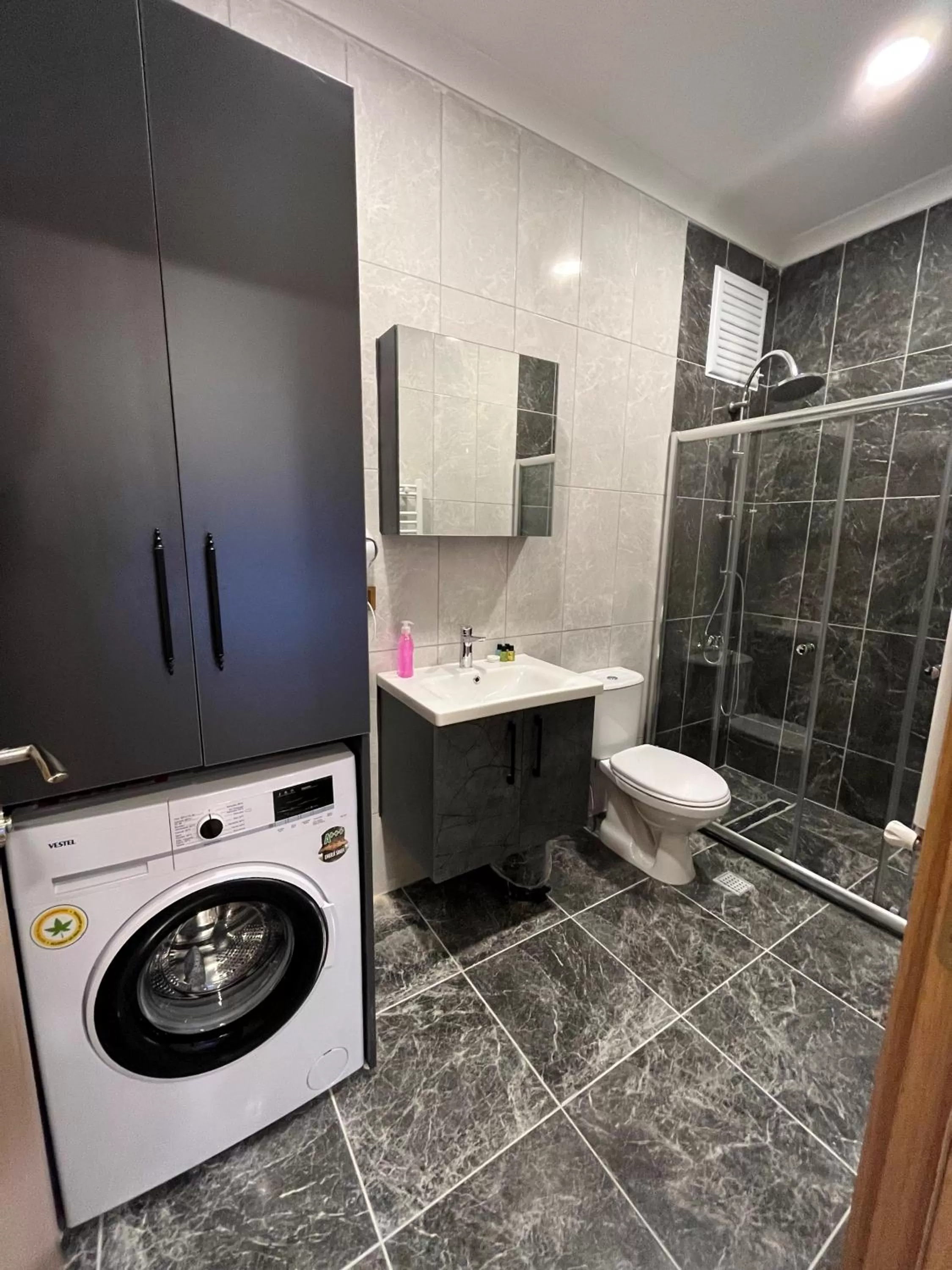 Bathroom in White House Apart