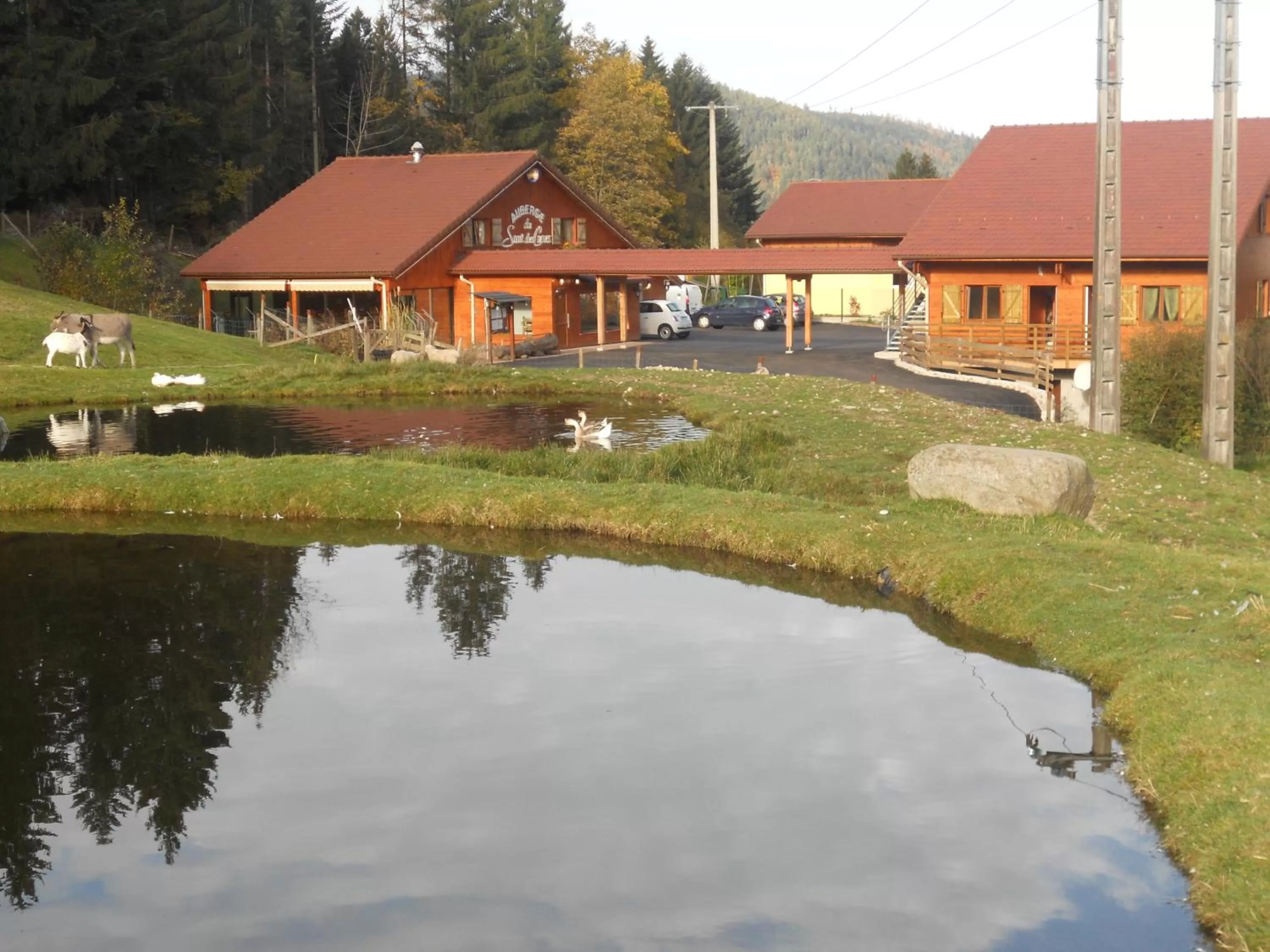 Area and facilities in Auberge du Saut des Cuves