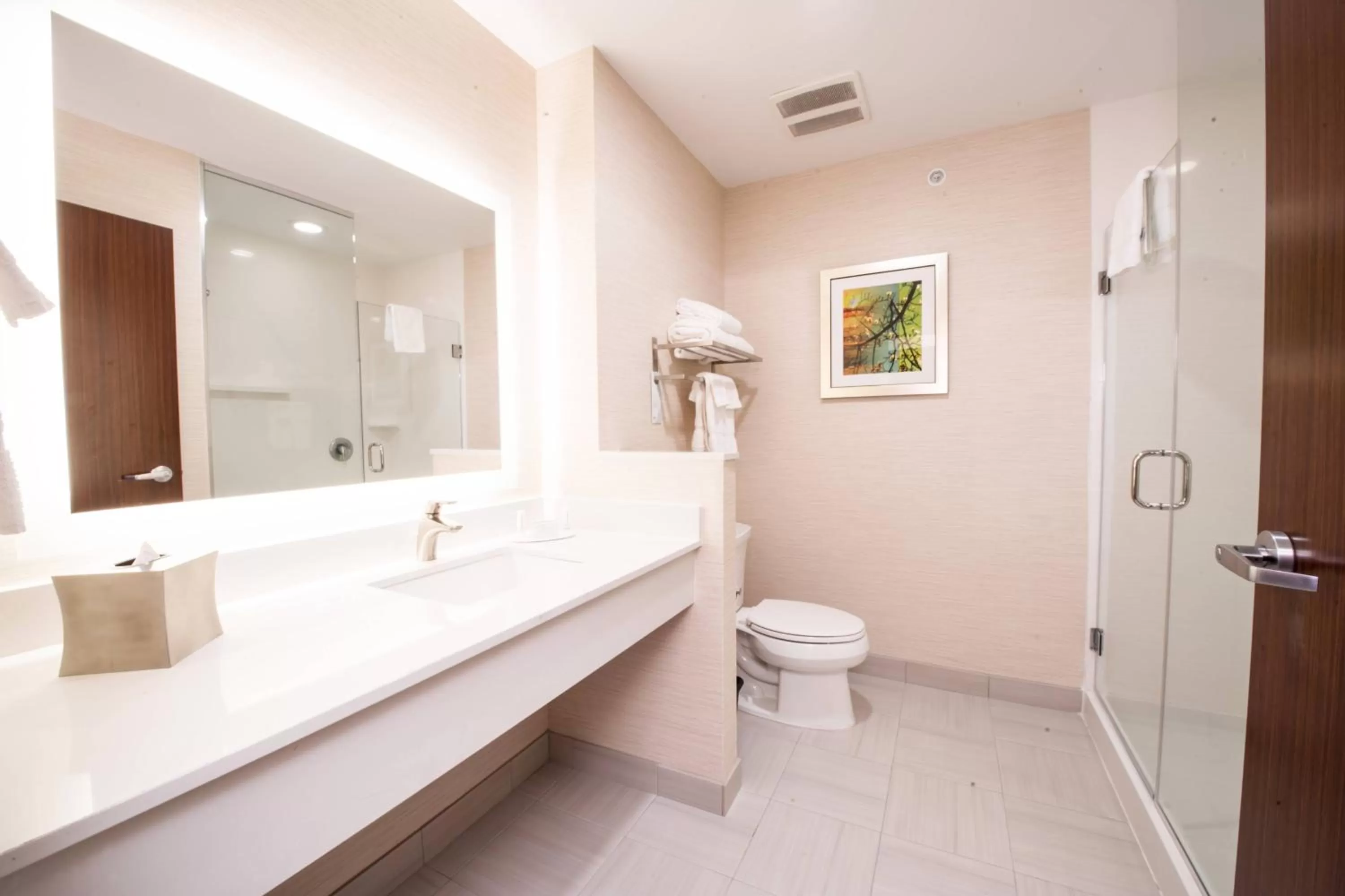 Bathroom in Fairfield Inn & Suites by Marriott Dallas Plano North