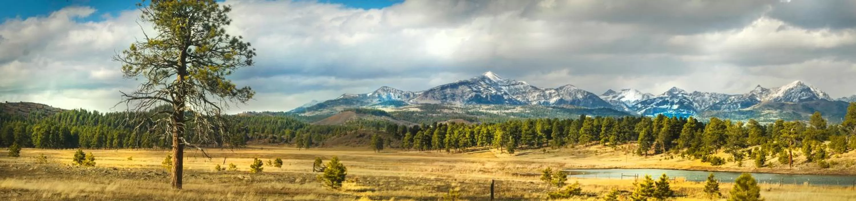 Natural landscape in Elktrace Bed and Breakfast