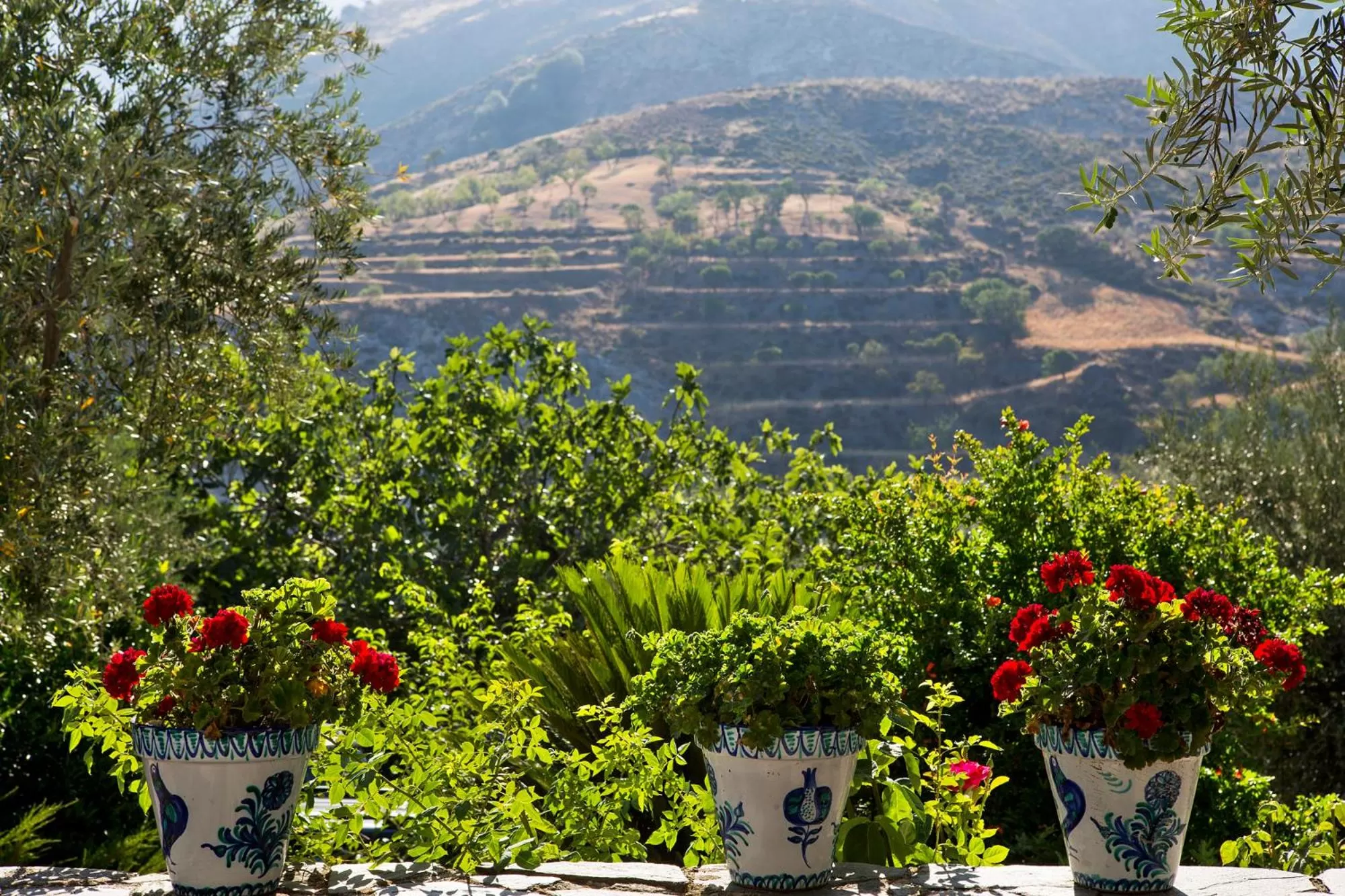 Garden in La Almunia del Valle