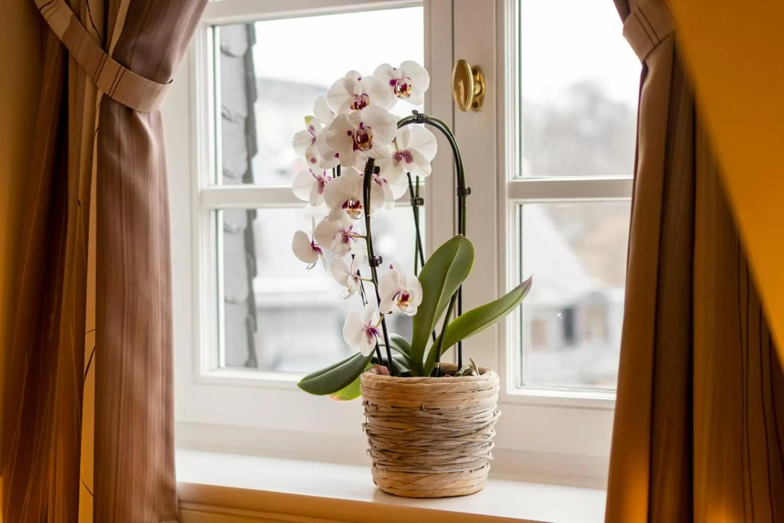 Hotel Ratskeller Schwarzenberg