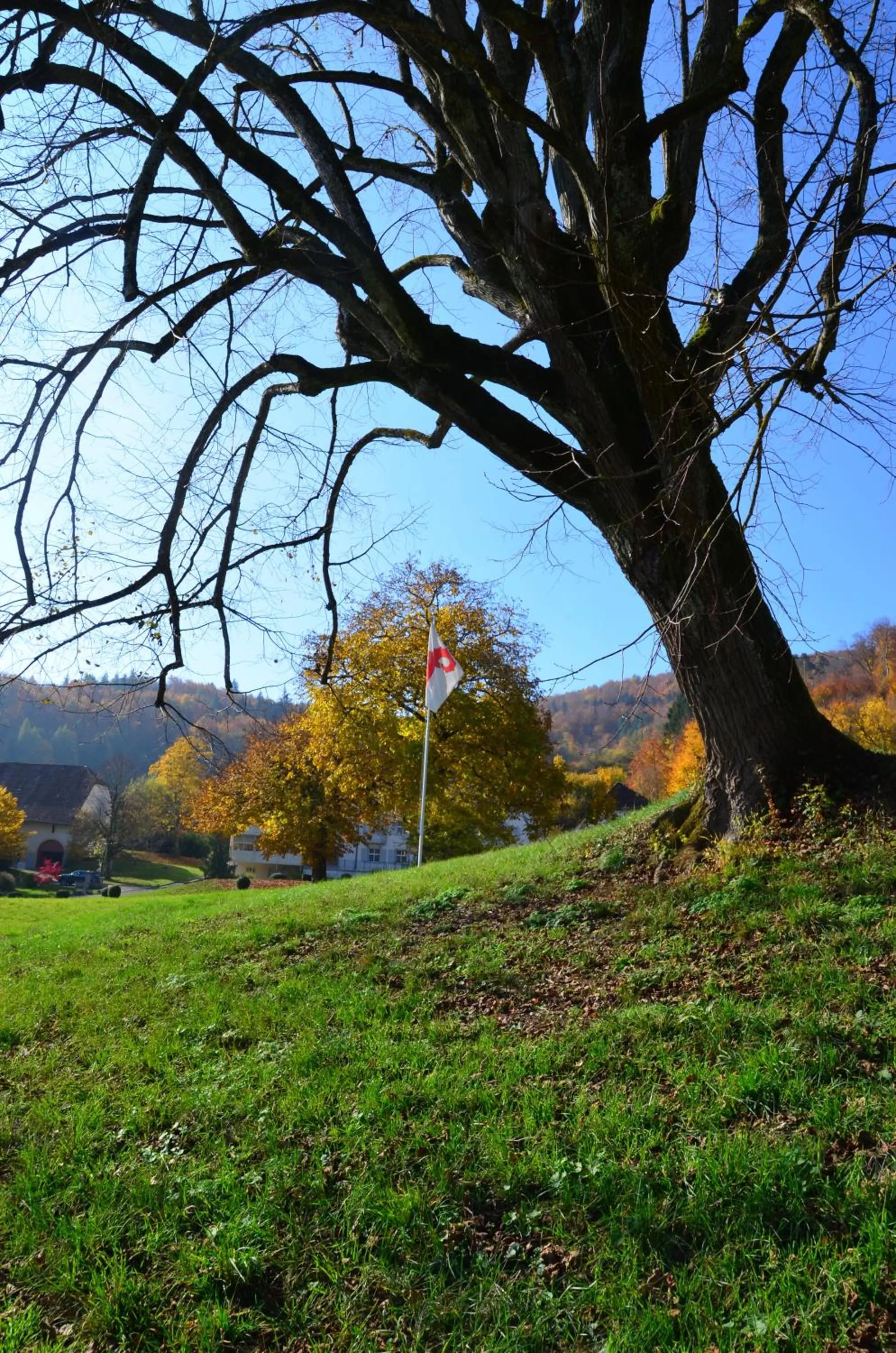 Day in Bad Schauenburg