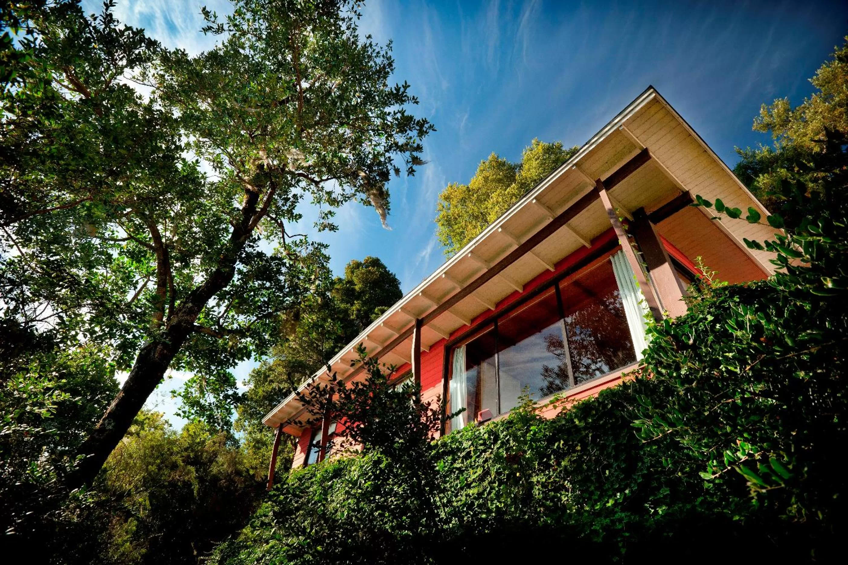 Photo of the whole room in Hotel Antumalal