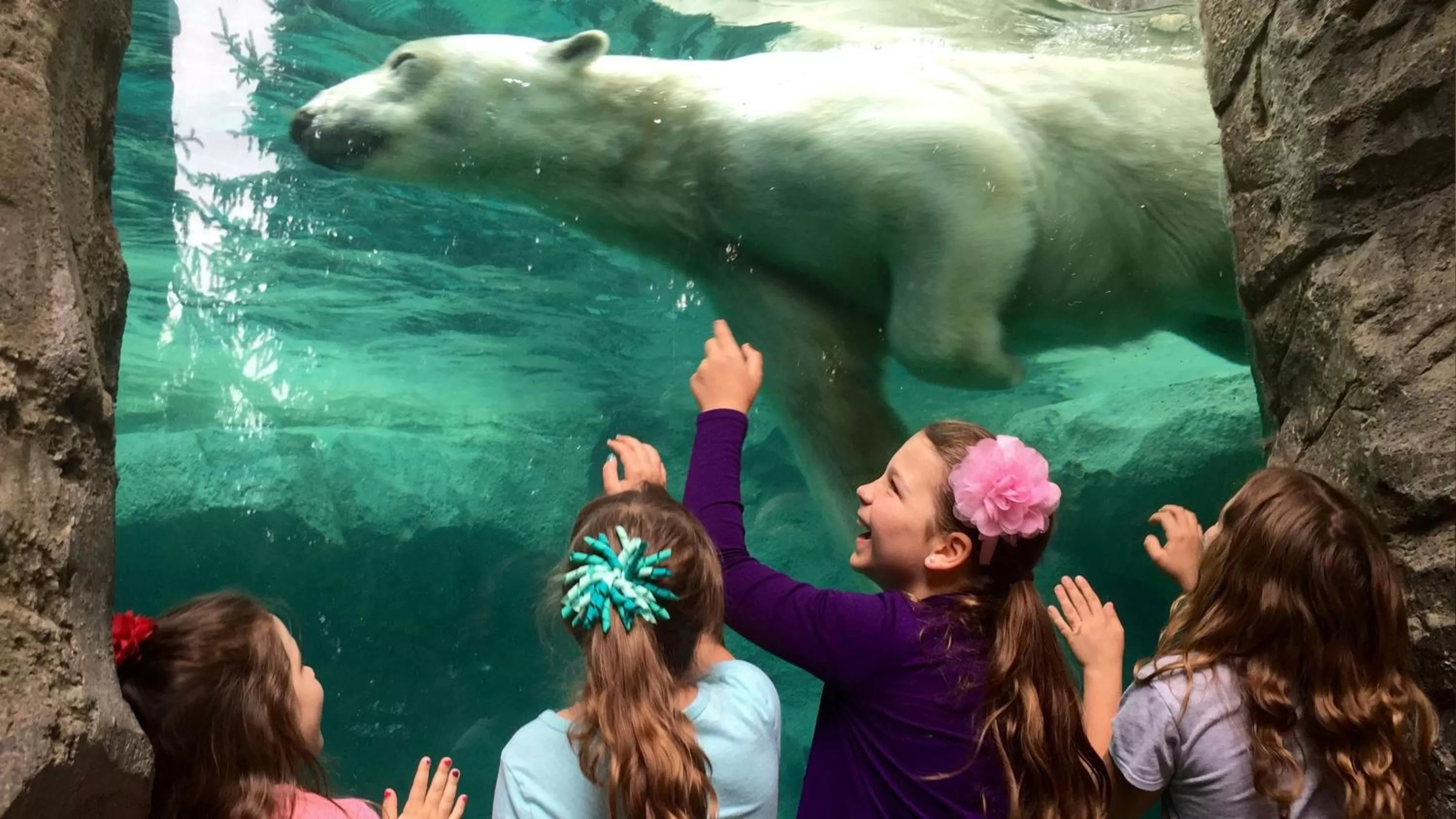 Area and facilities in Holiday Inn Cincinnati-Eastgate by IHG