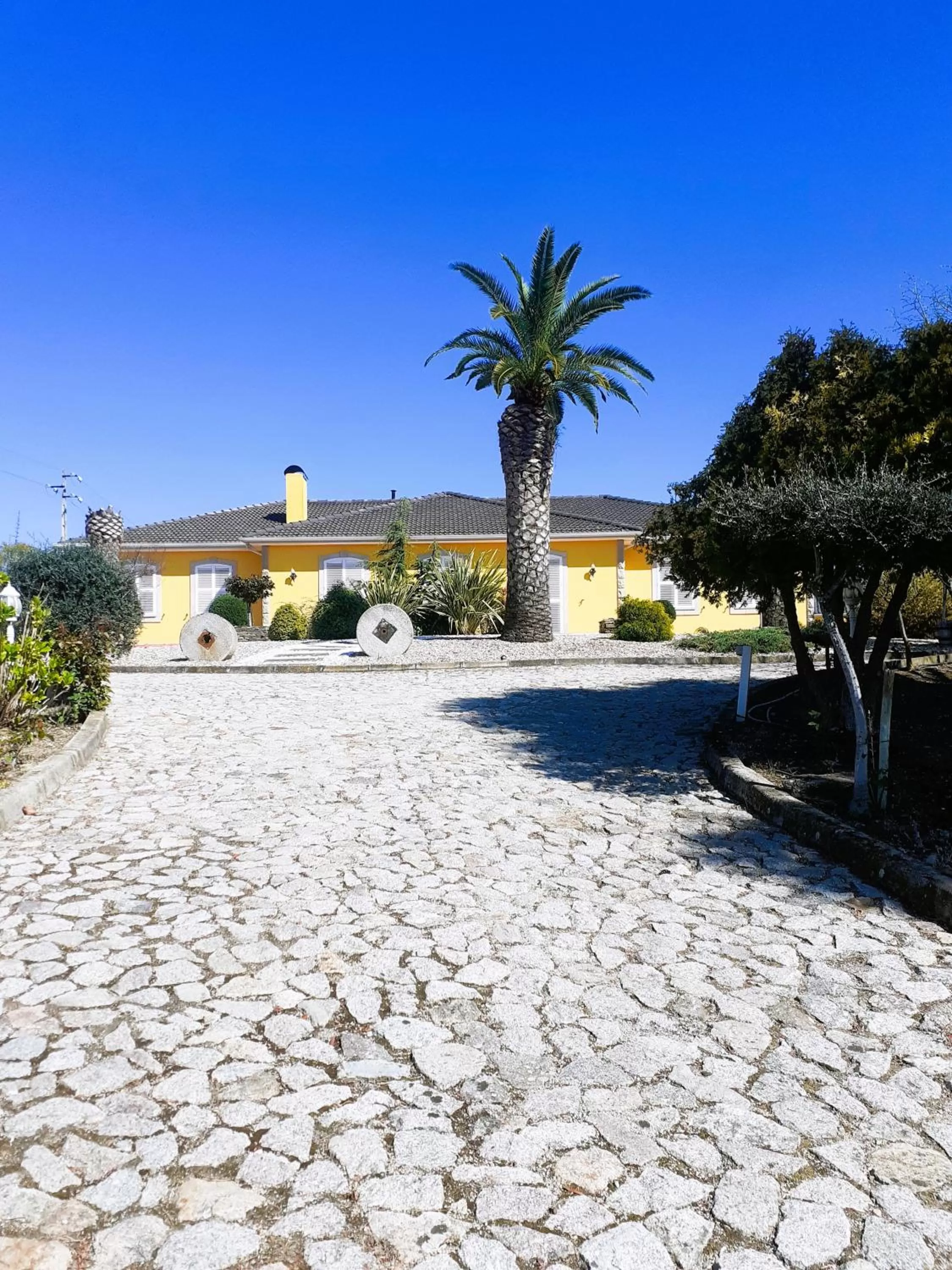 Property building, Swimming Pool in A Flor da Rosa