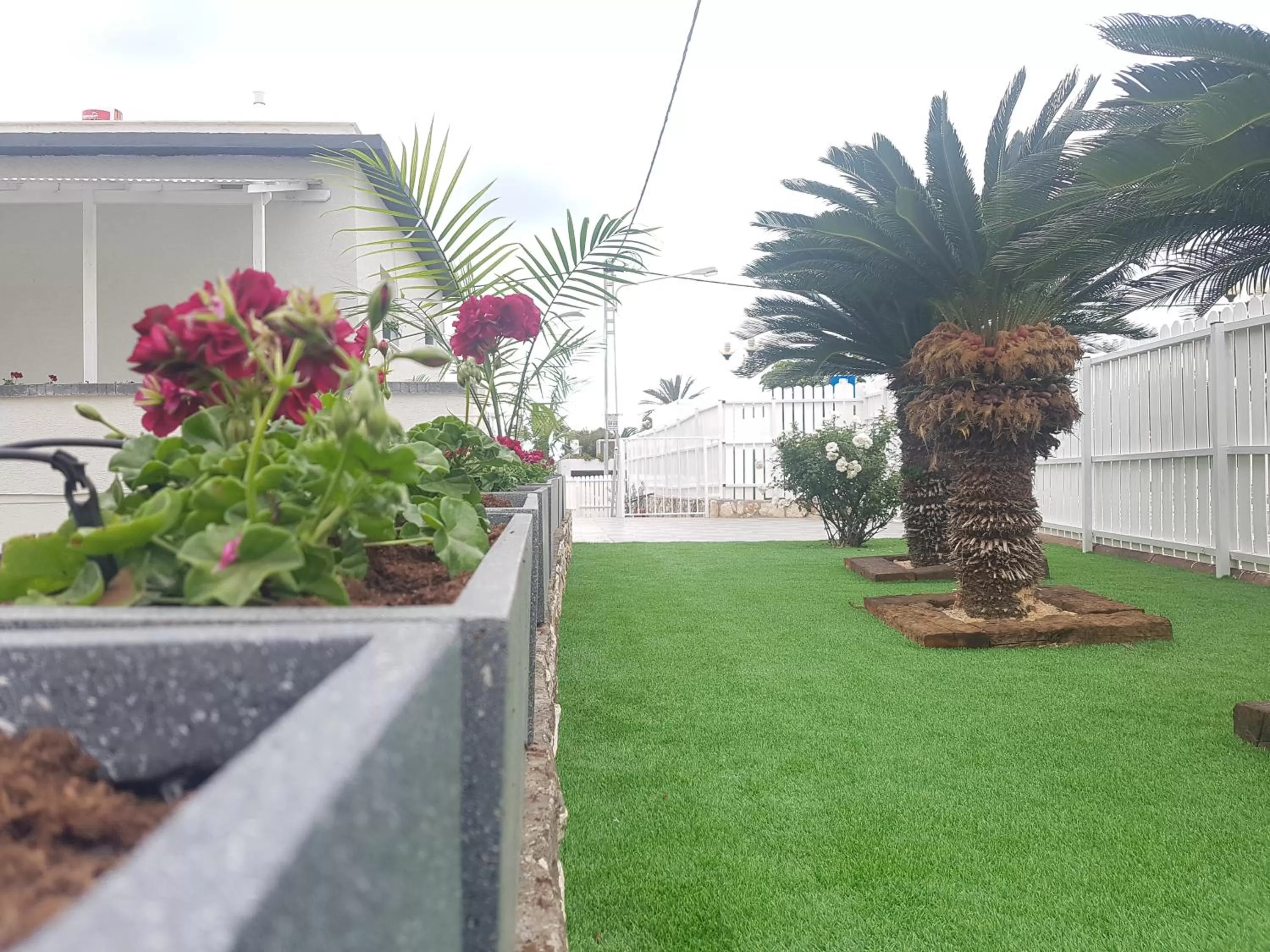 Facade/entrance in אבני החושן- Avnei Hoshen