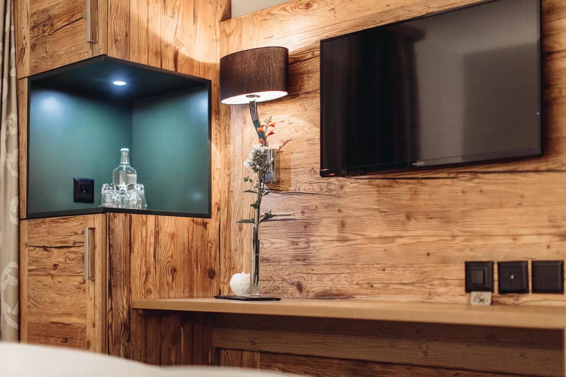 TV and multimedia in Hotel Spescha