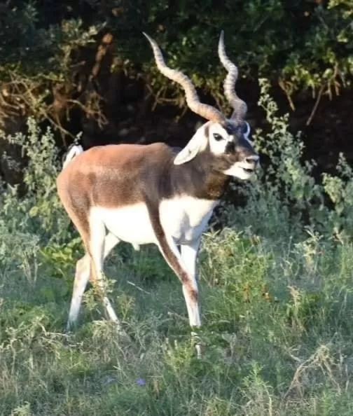 Flying L Ranch Resort & Golf Course