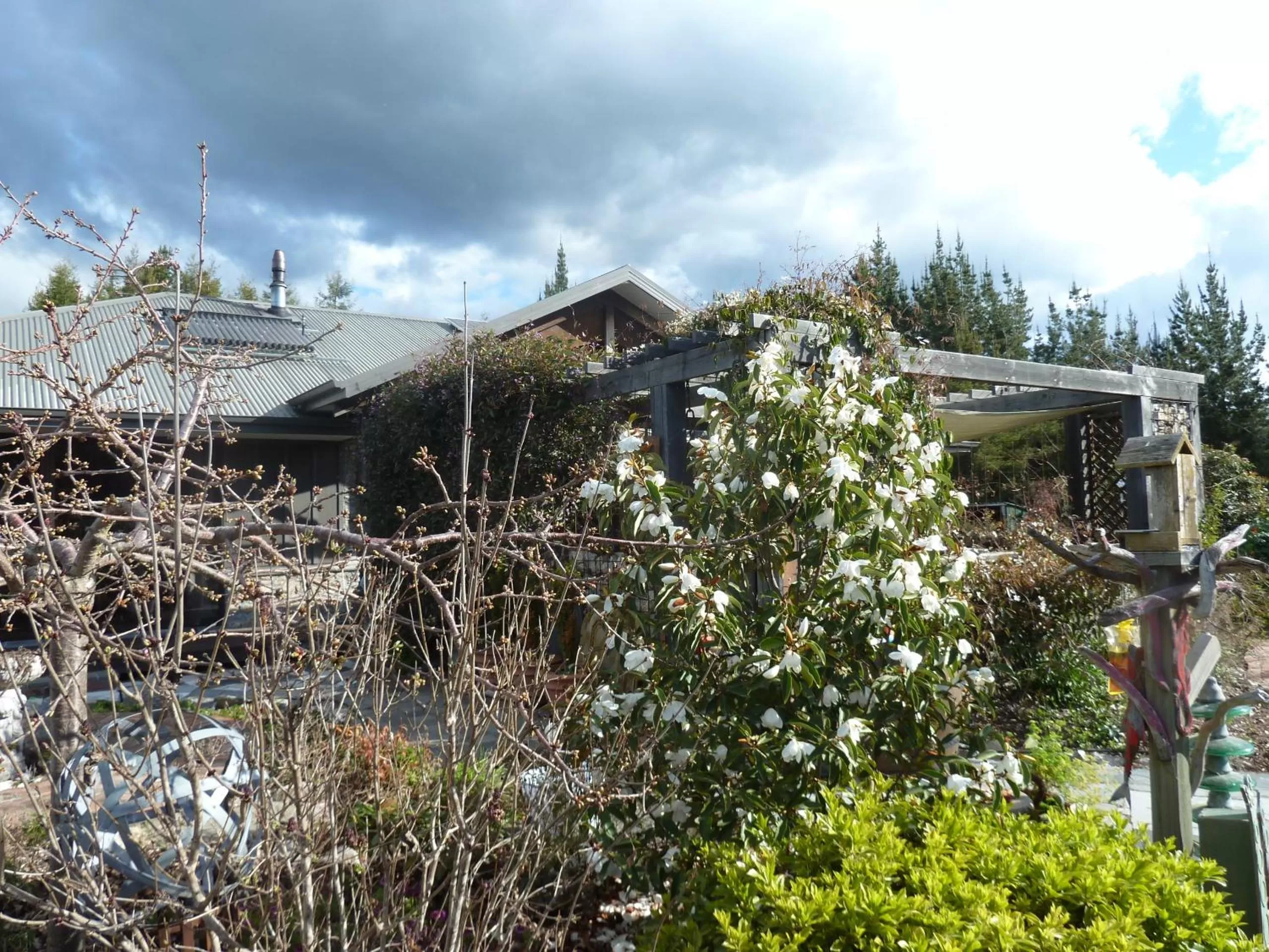Garden in Redwood Valley B & B
