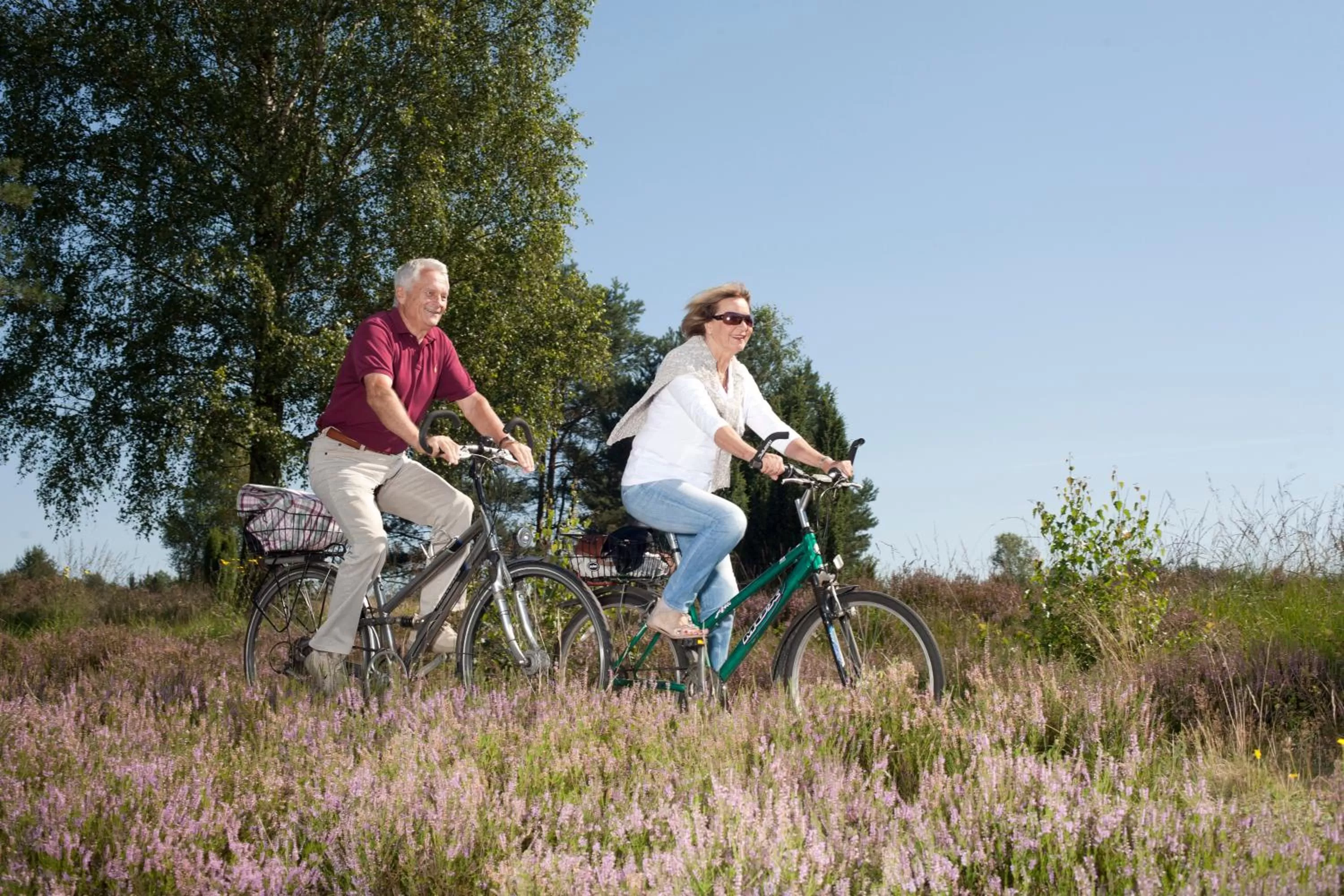 Area and facilities in Hotel Bockelmann